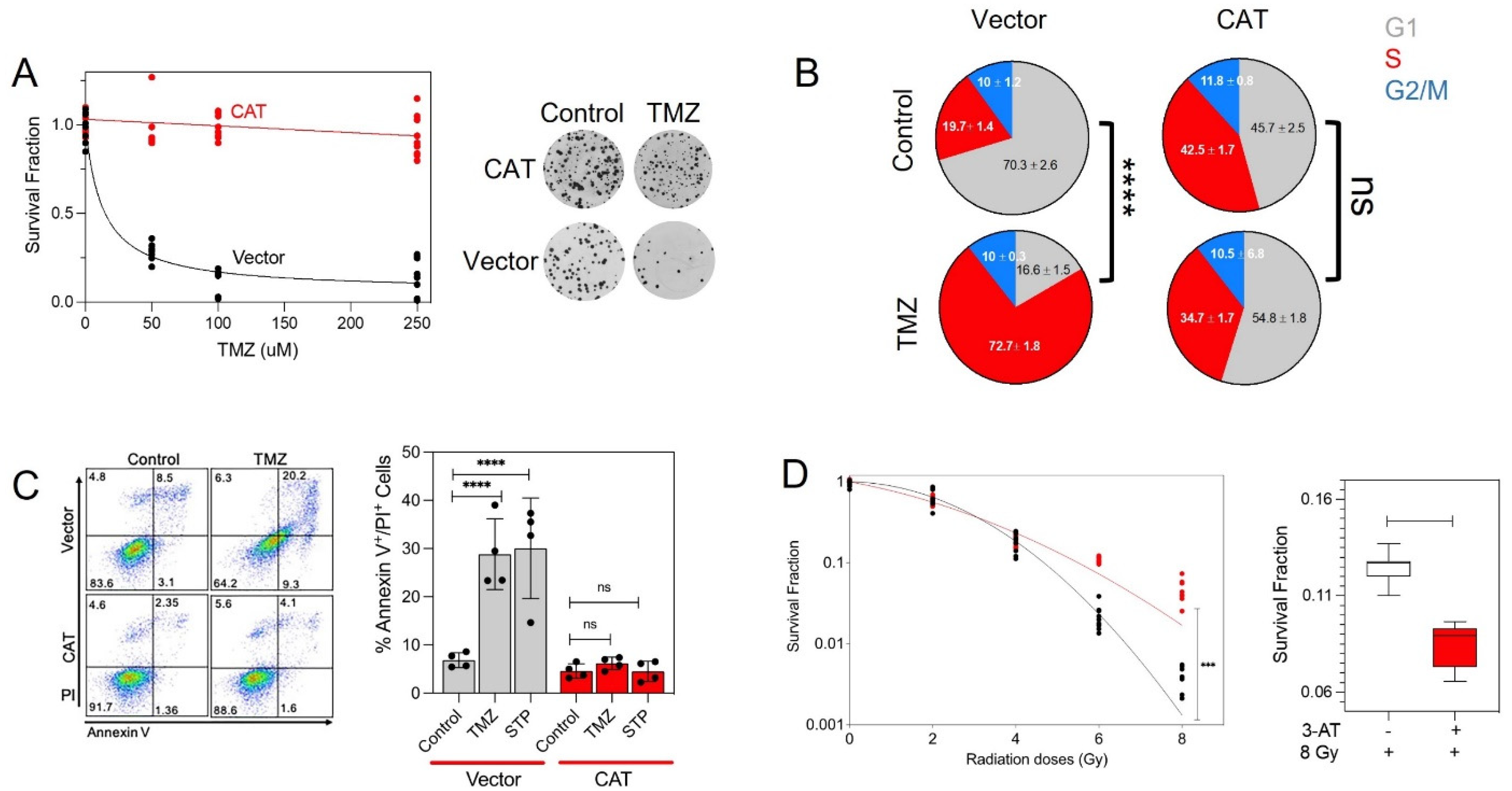 Antioxidants 10 01988 g004