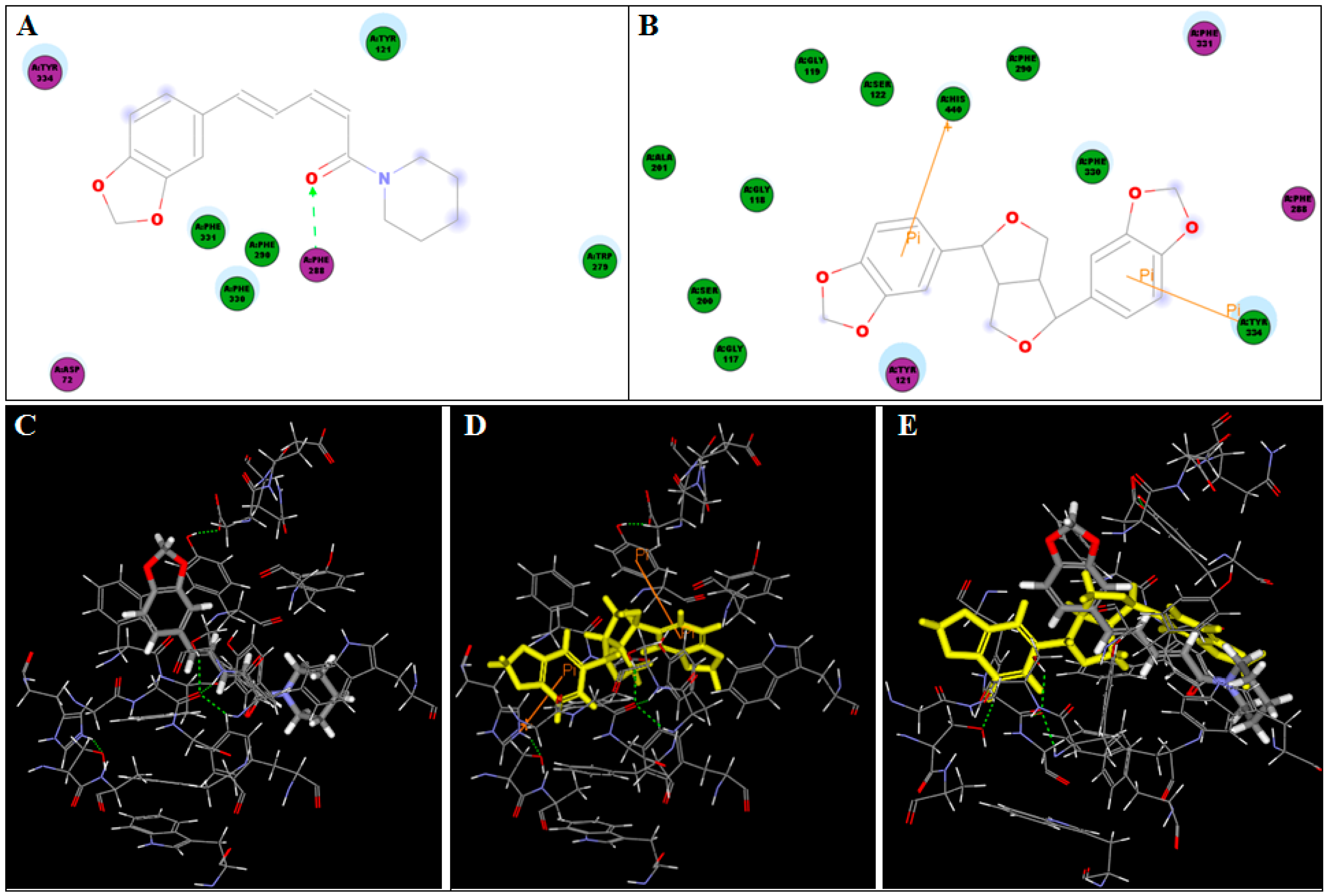 Antioxidants 10 01993 g005