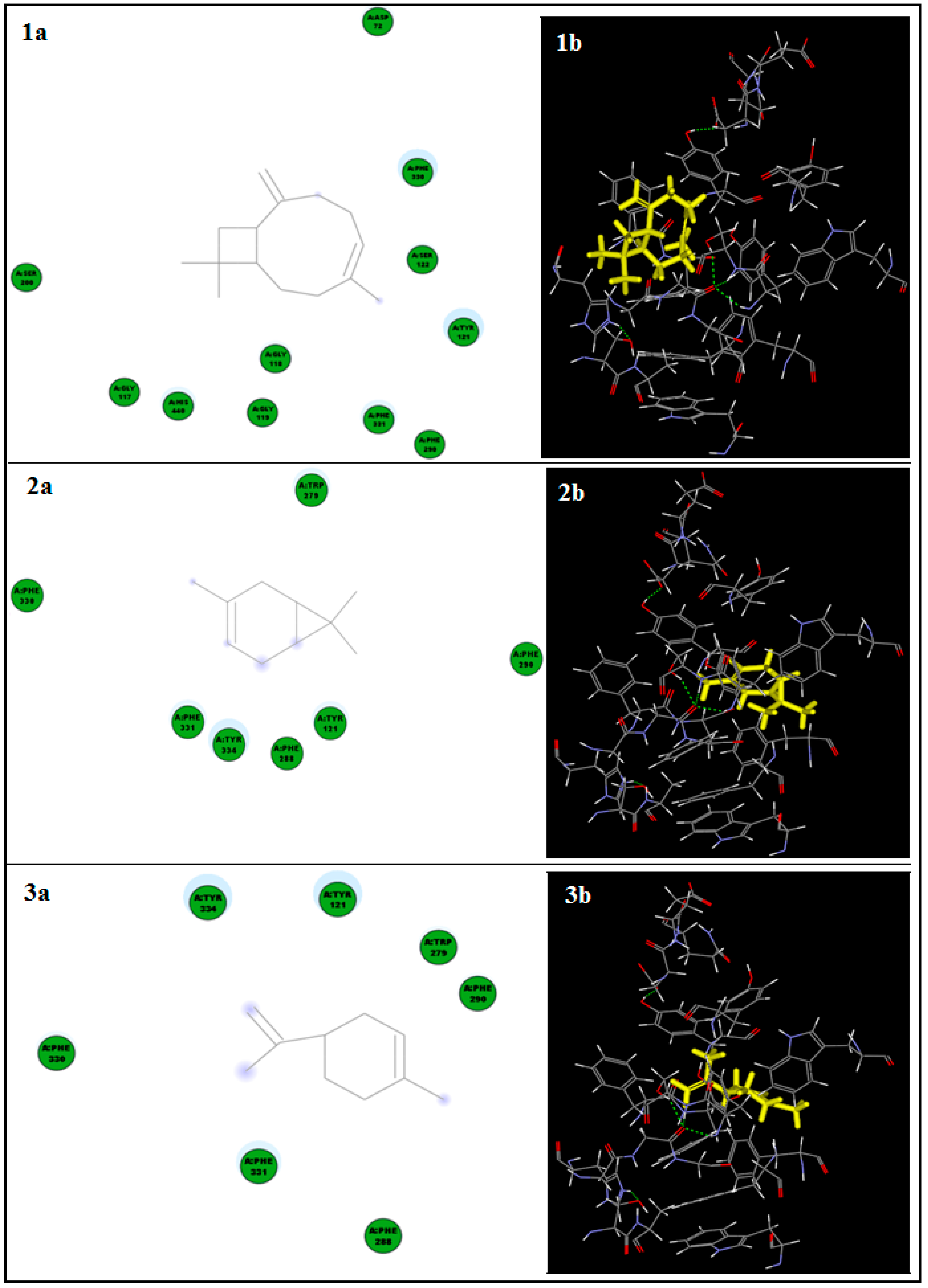 Antioxidants 10 01993 g006