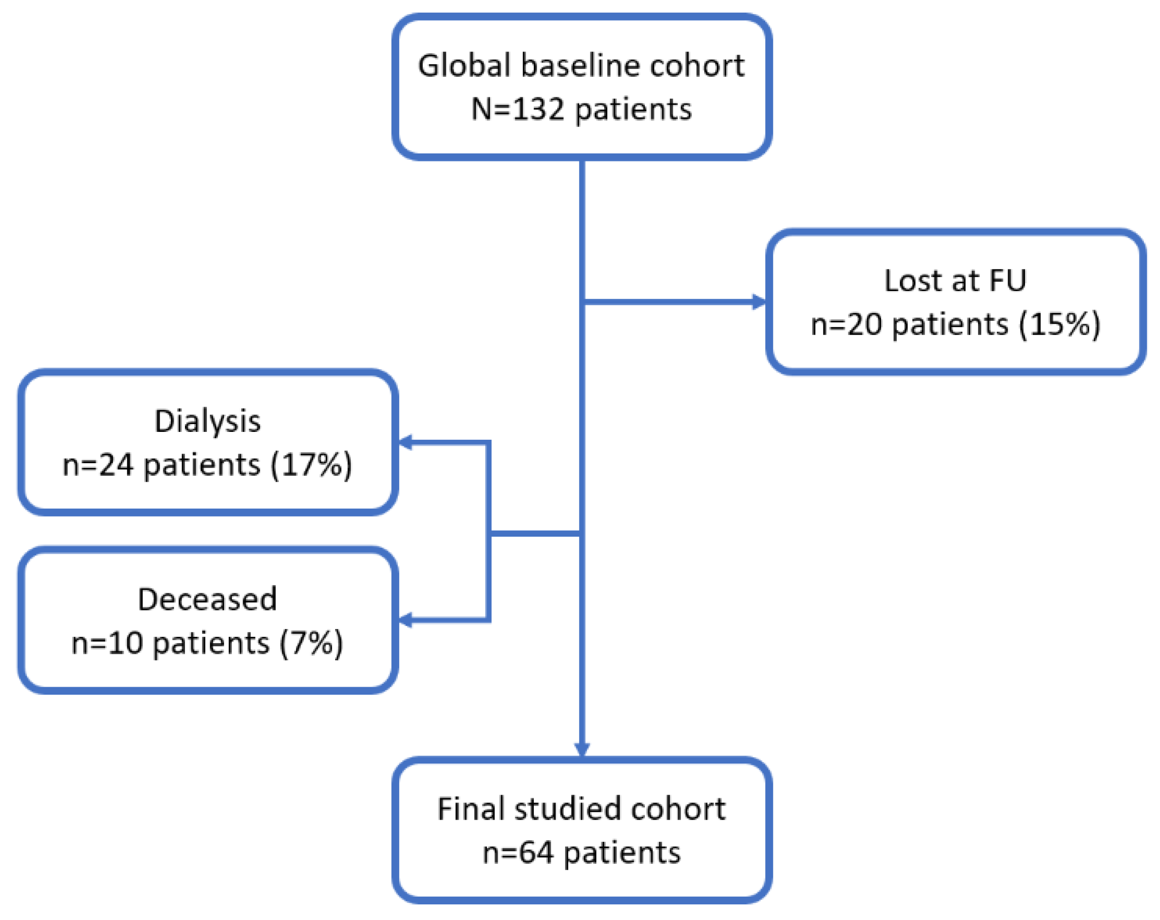 Antioxidants 10 01994 g001