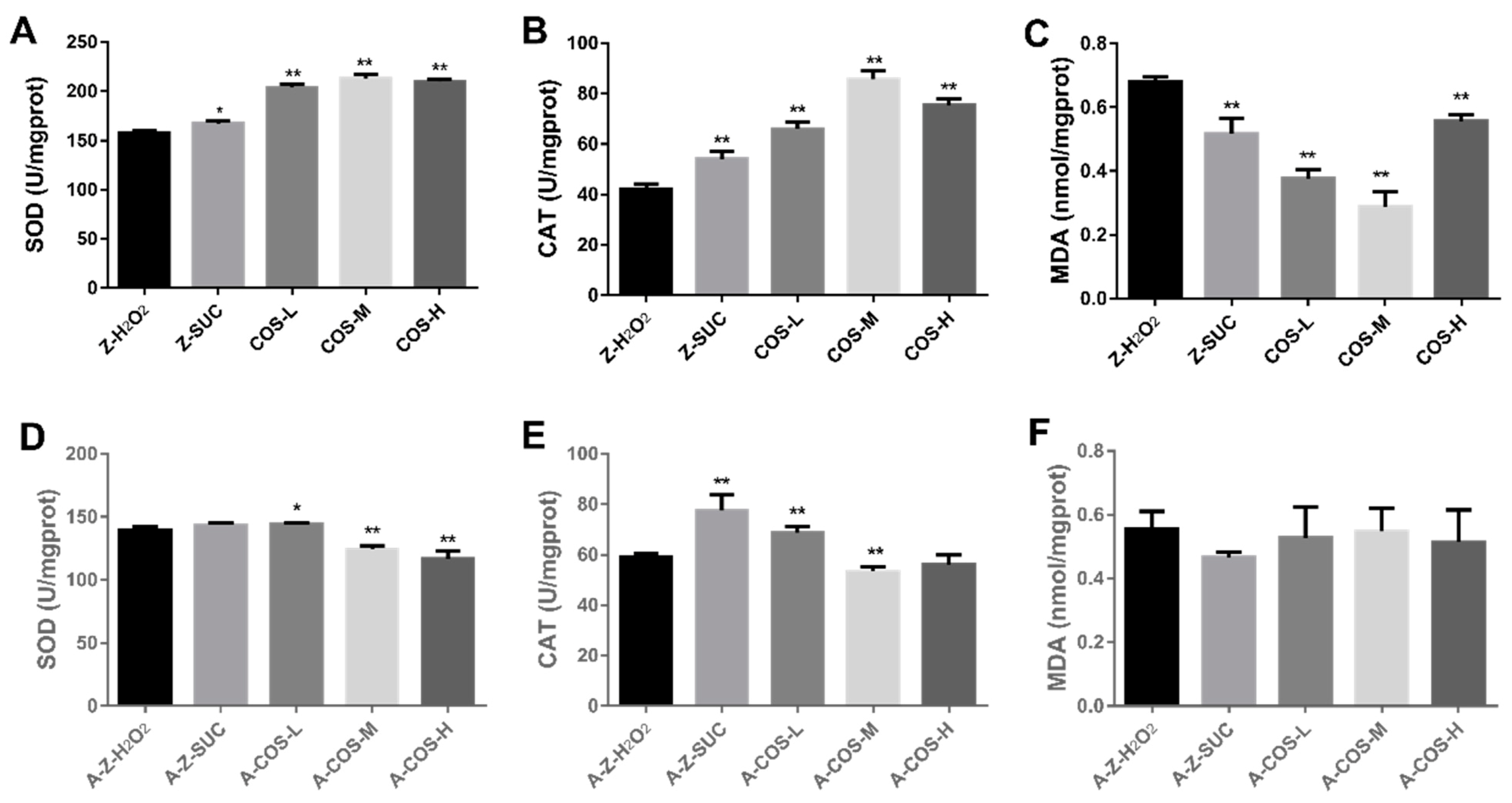 Antioxidants 10 01996 g003