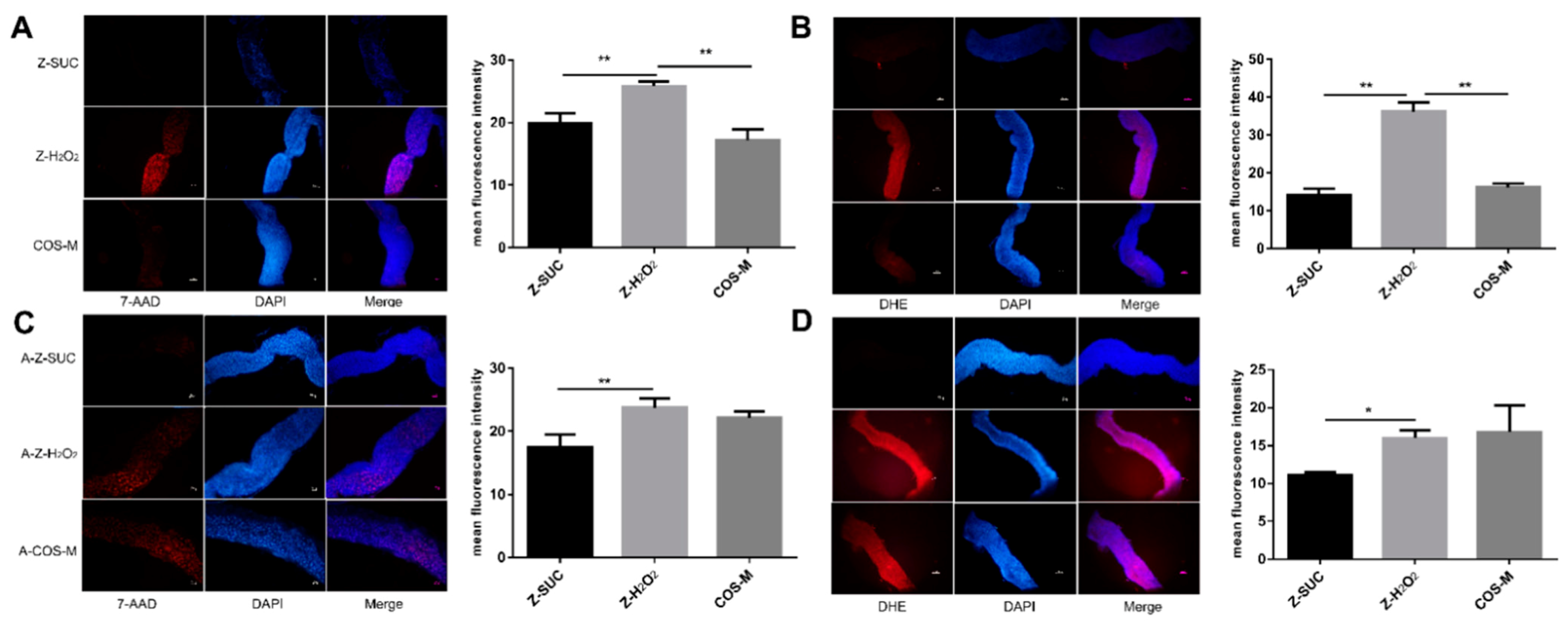 Antioxidants 10 01996 g006