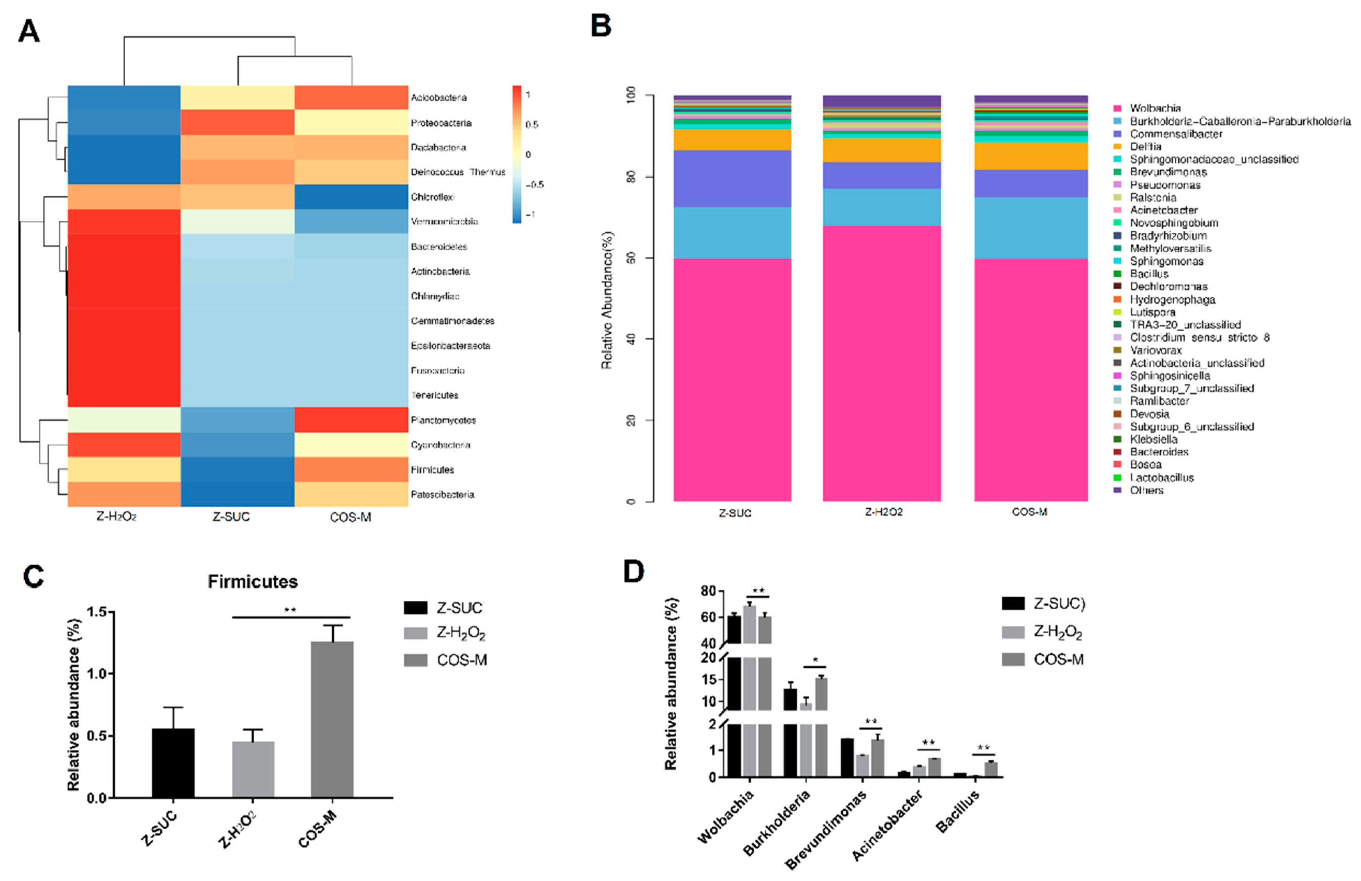 Antioxidants 10 01996 g008