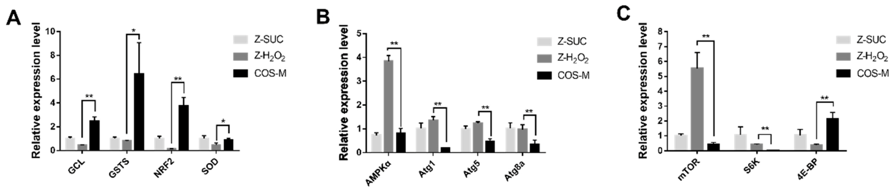 Antioxidants 10 01996 g010