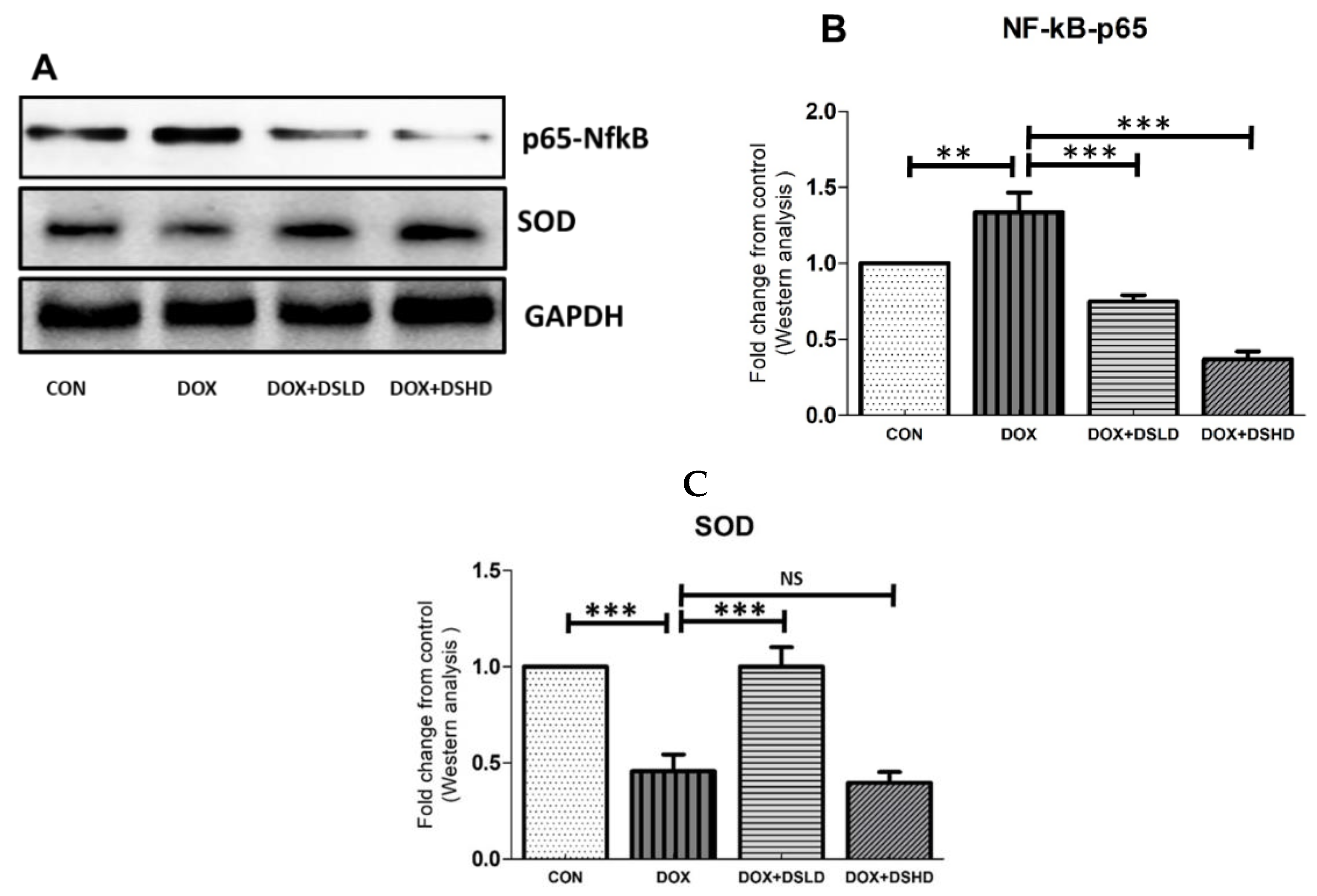 Antioxidants 10 01998 g004