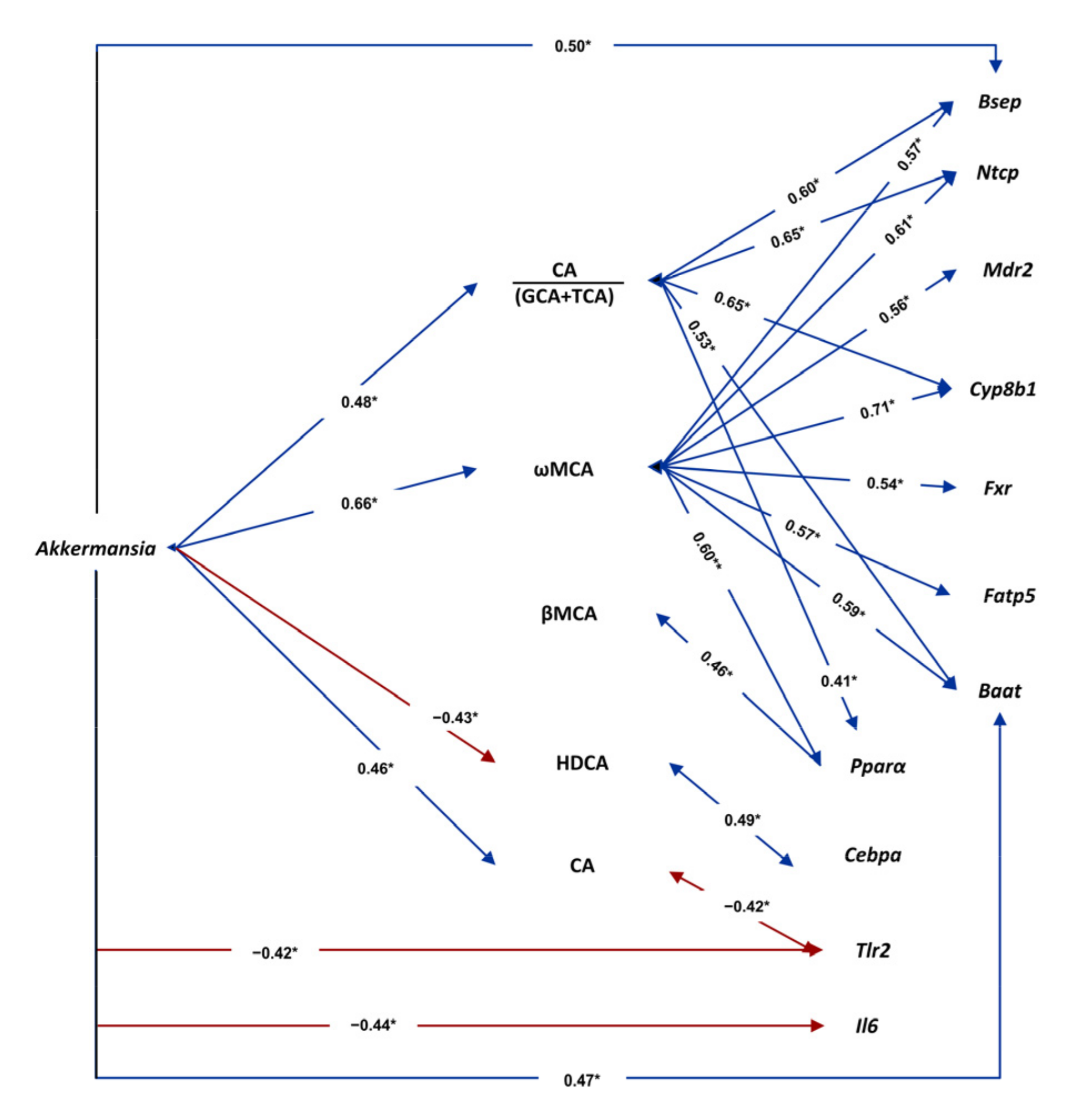 Antioxidants 10 02001 g008