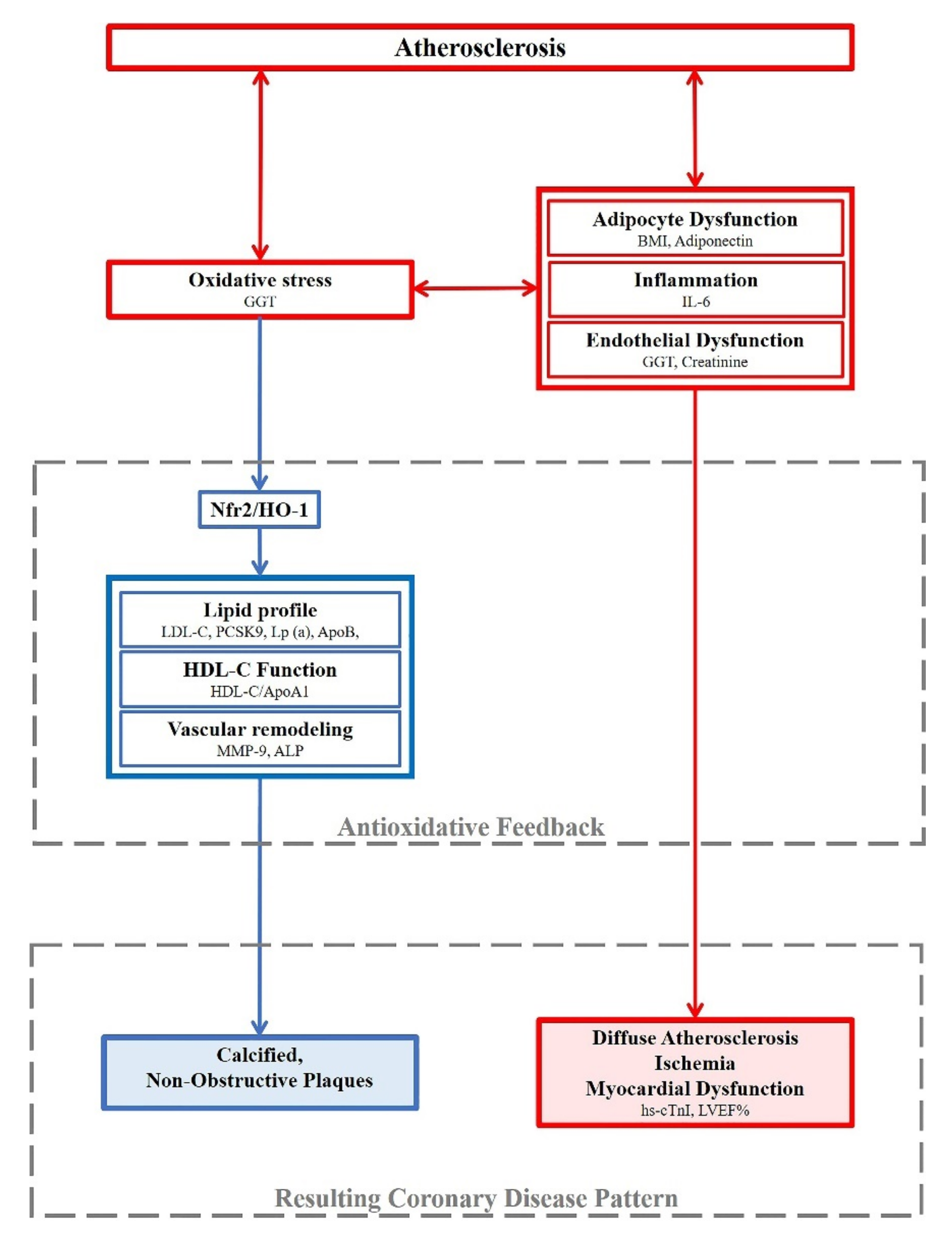 Antioxidants 10 02002 g003
