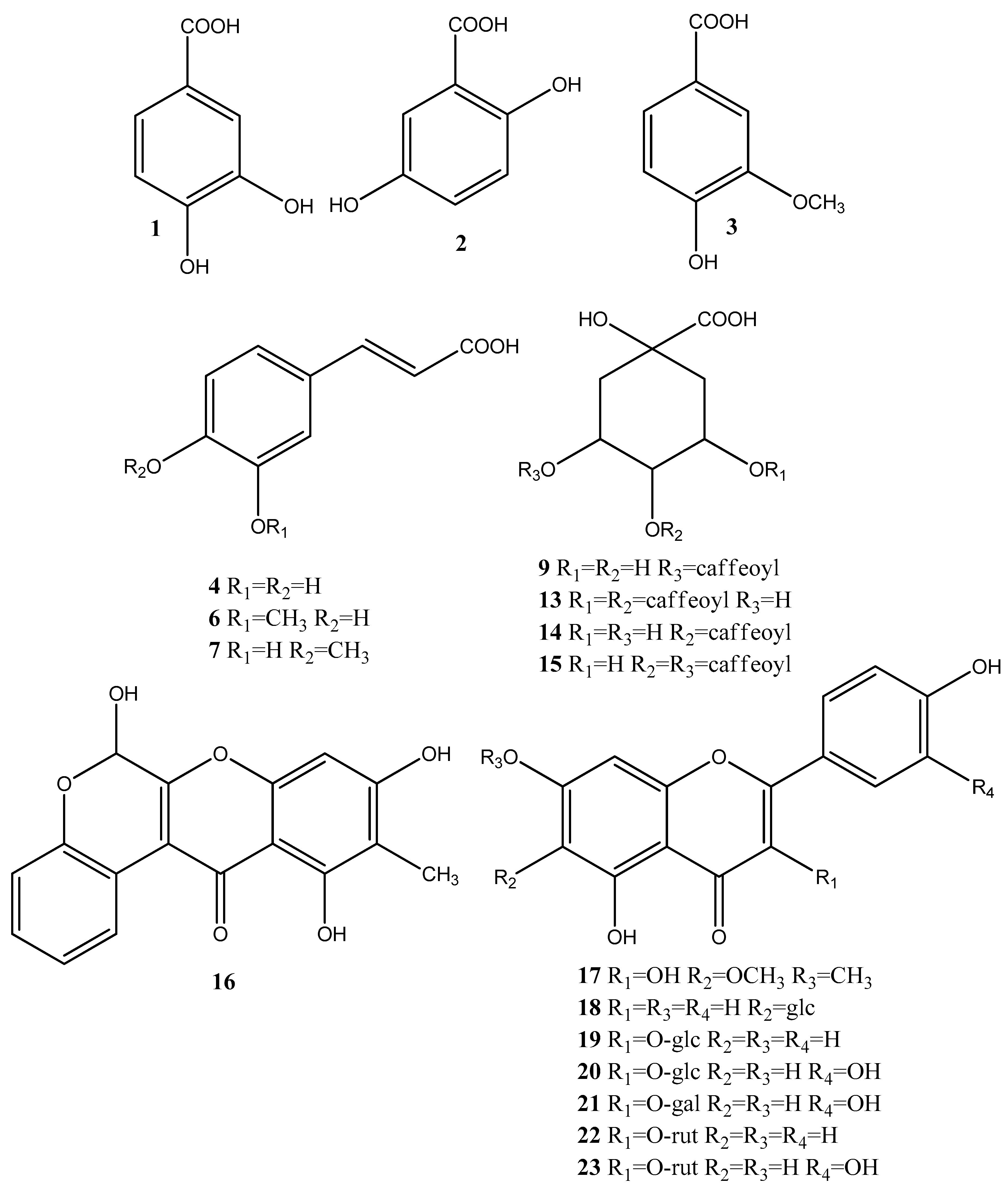 Antioxidants 10 02003 g003