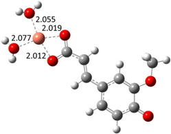 Antioxidants 10 02006 i006