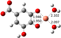 Antioxidants 10 02006 i010