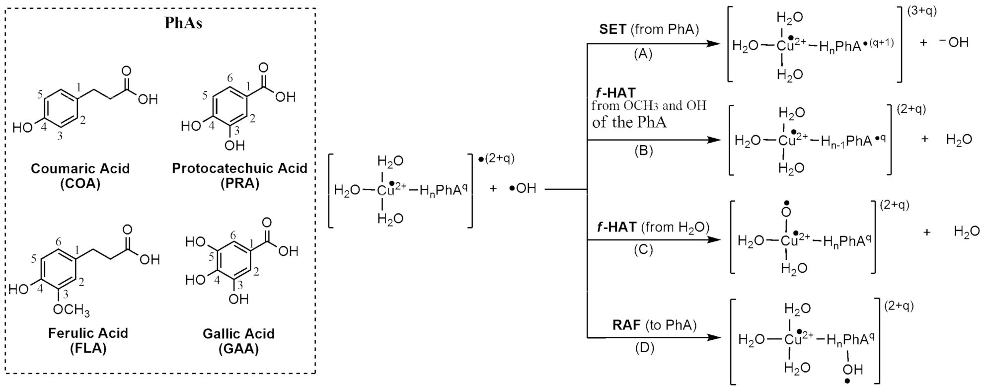 Antioxidants 10 02006 sch001