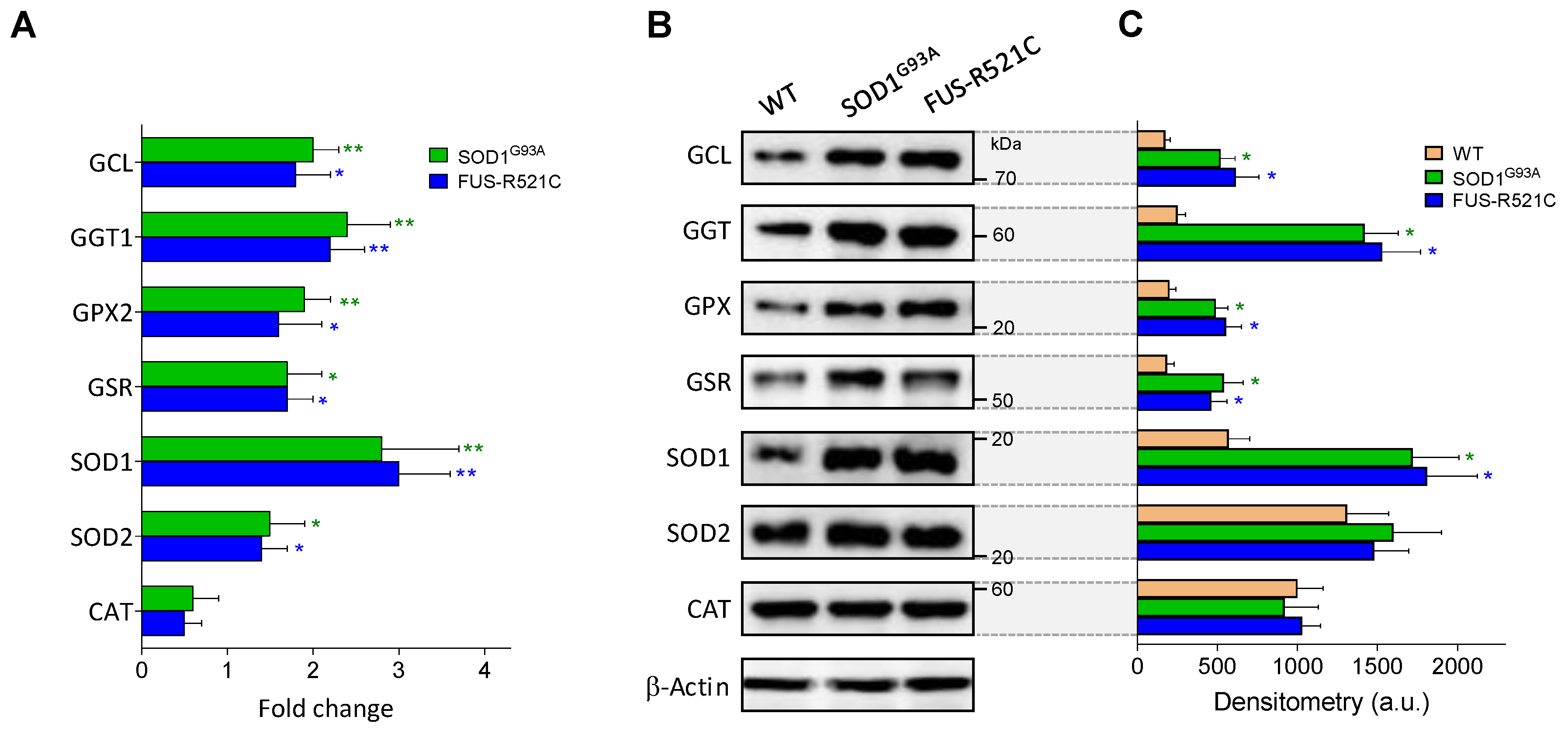 Antioxidants 10 02007 g004