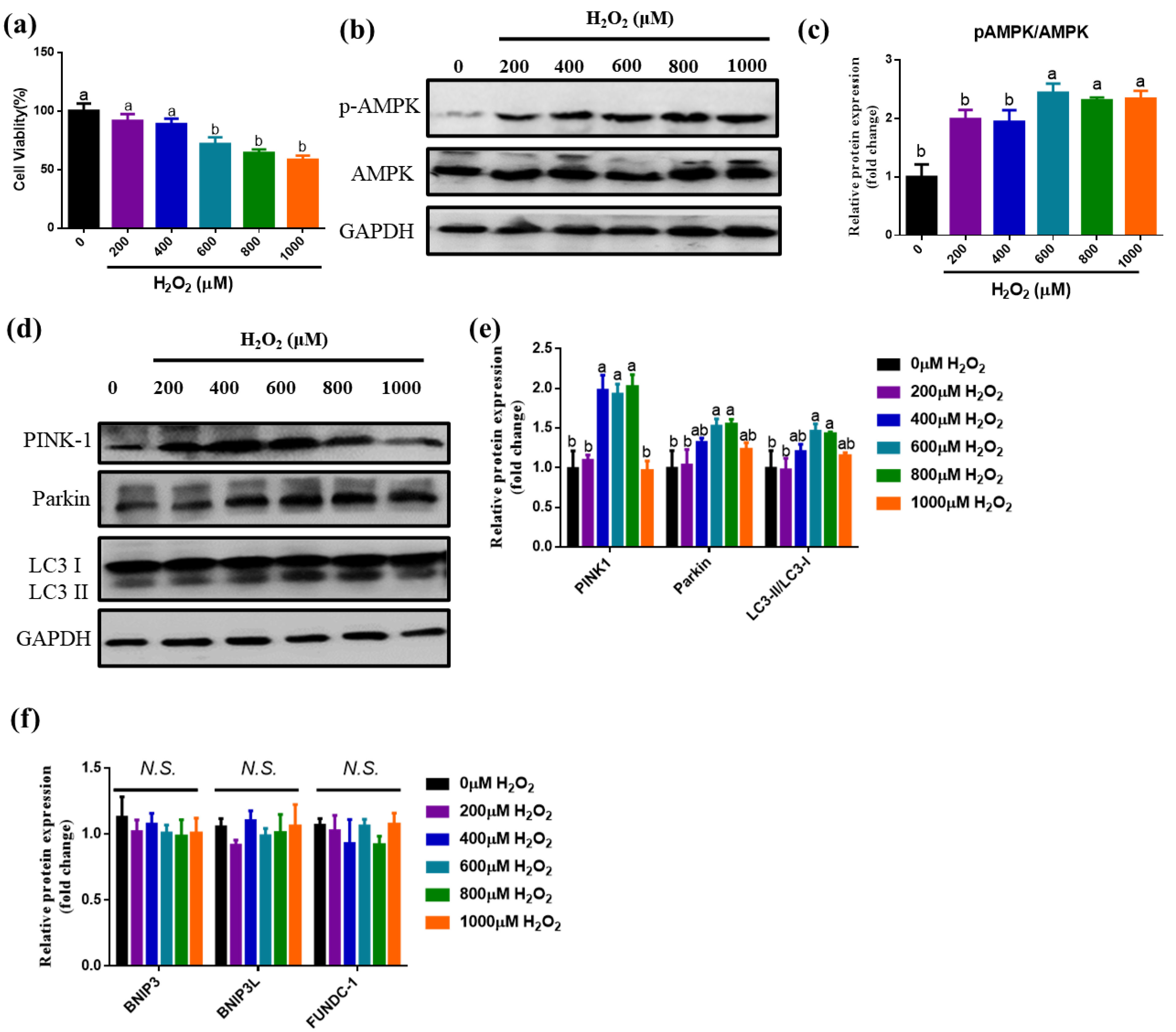 Antioxidants 10 02010 g001