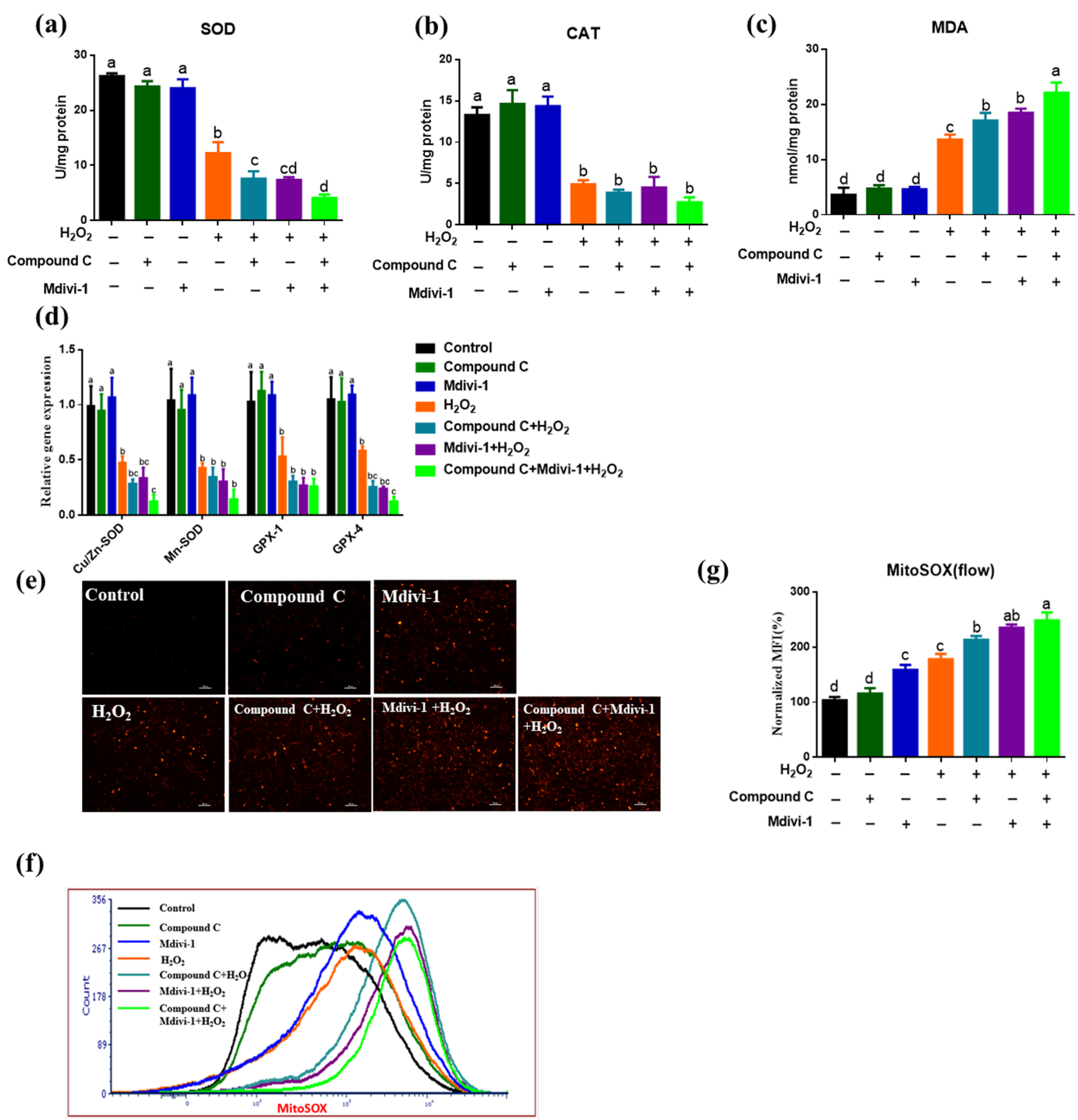 Antioxidants 10 02010 g002