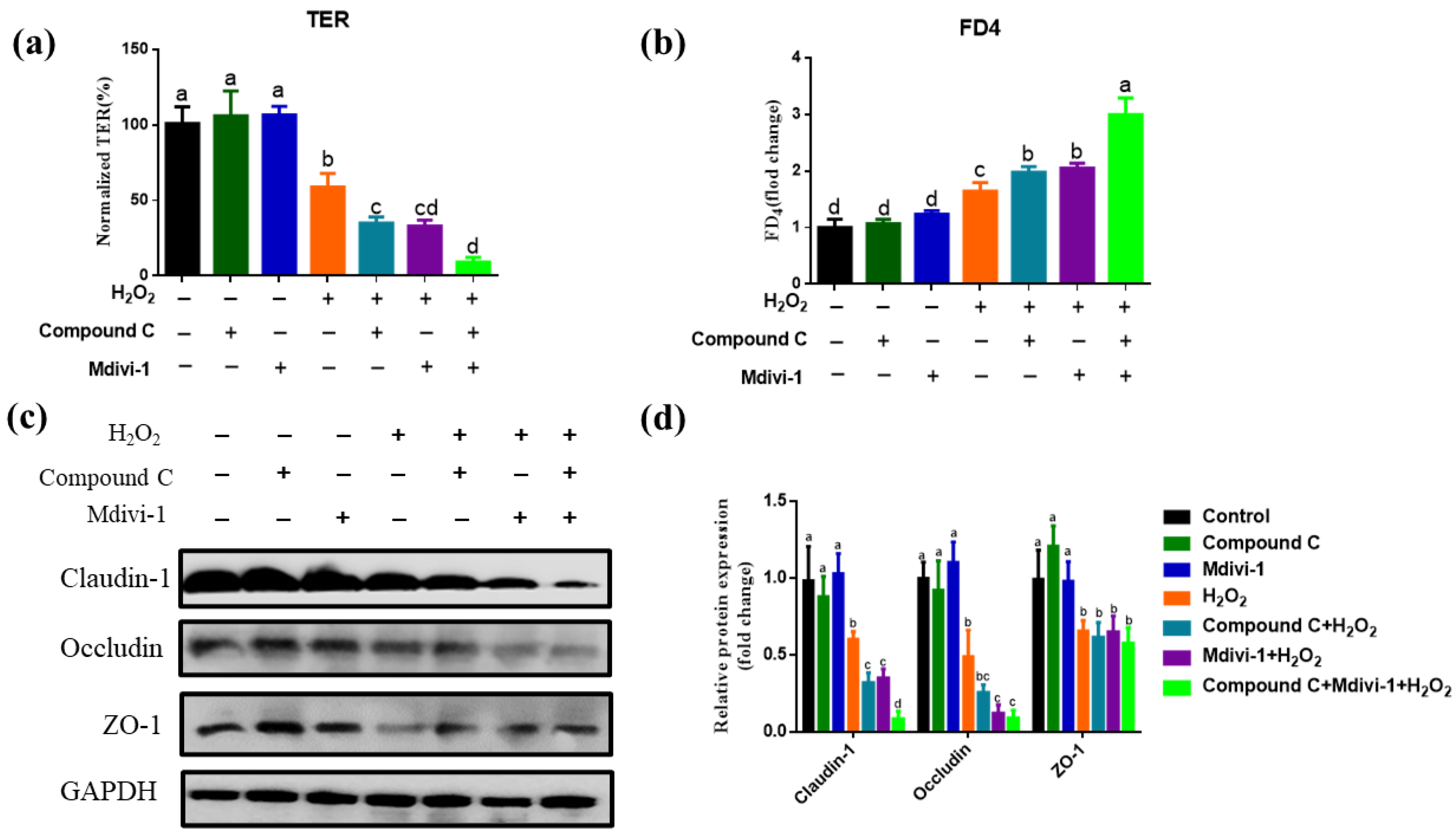 Antioxidants 10 02010 g003