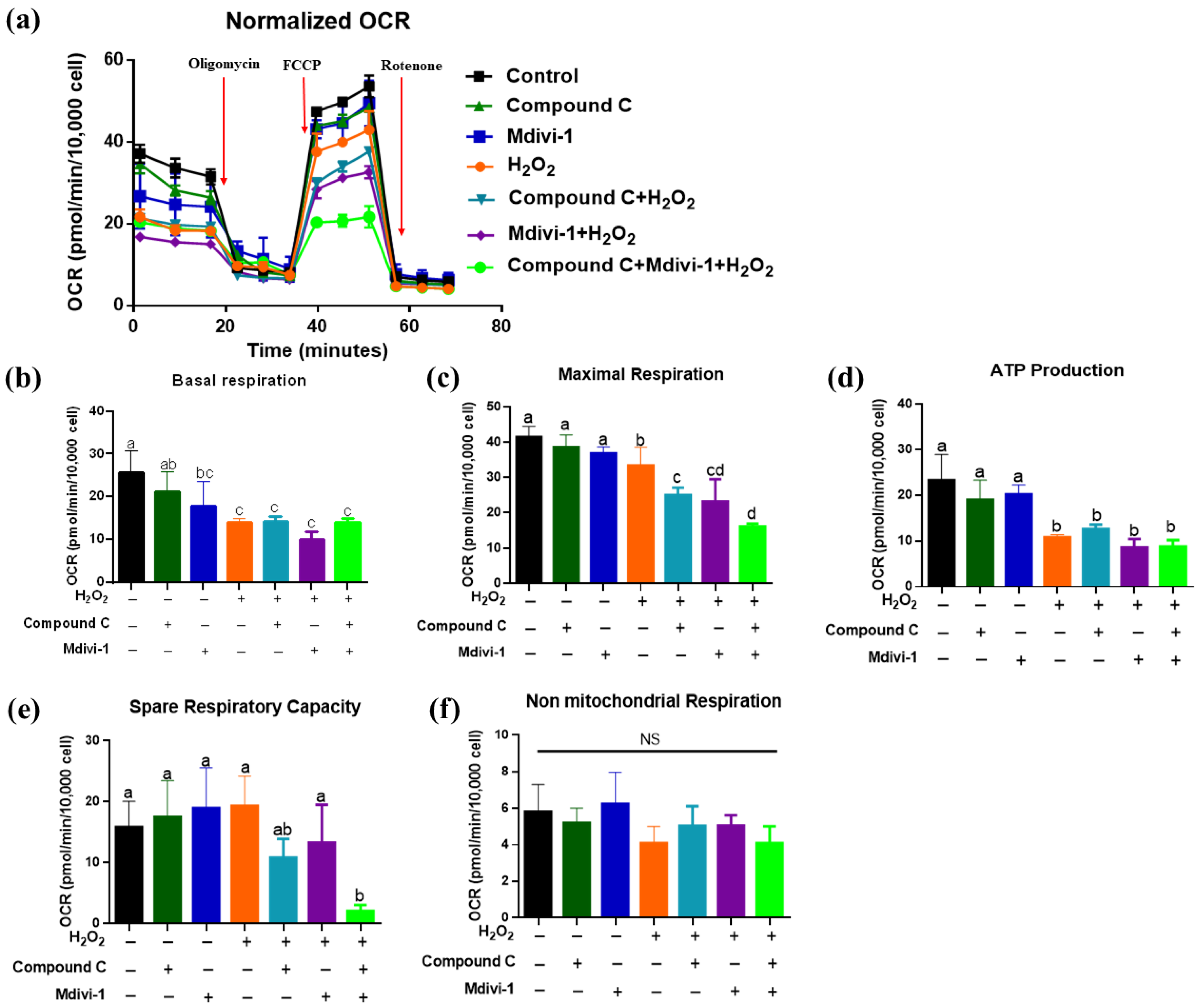 Antioxidants 10 02010 g005