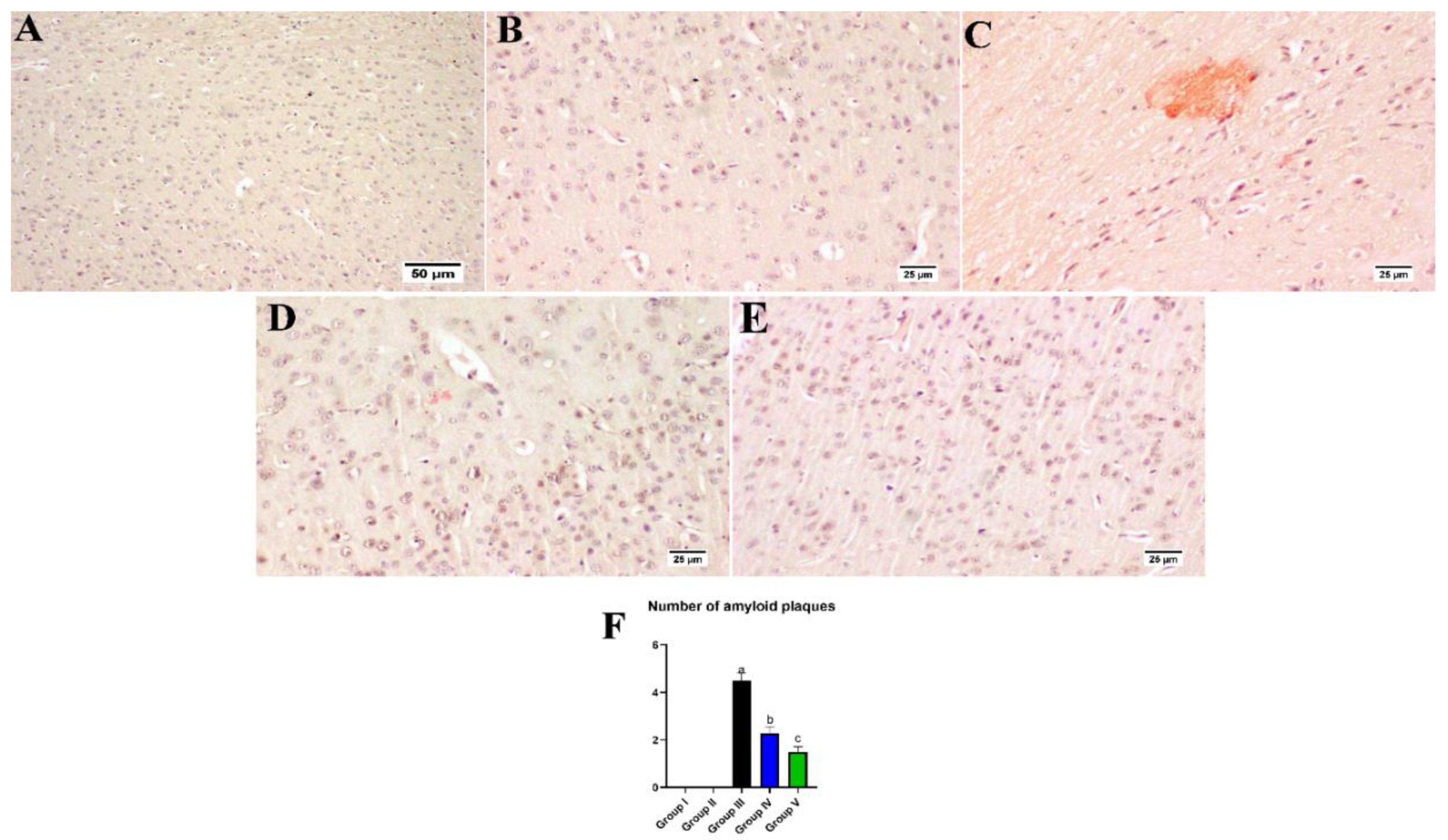 Antioxidants 10 02011 g013