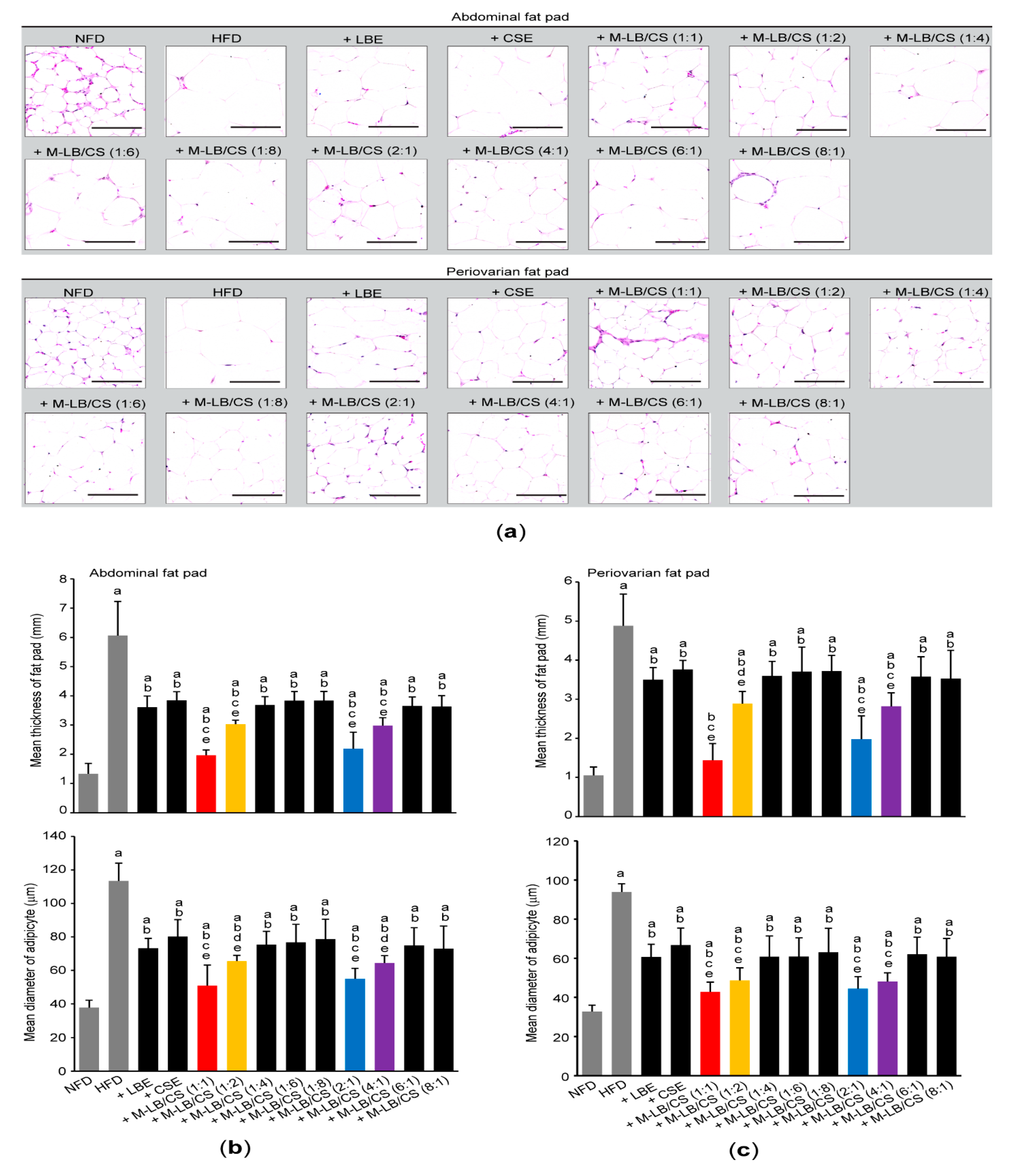 Antioxidants 10 02015 g004