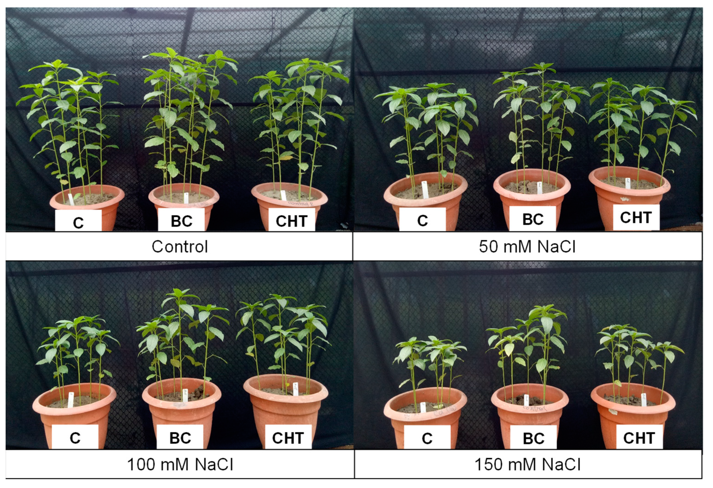 Antioxidants 10 02017 g010