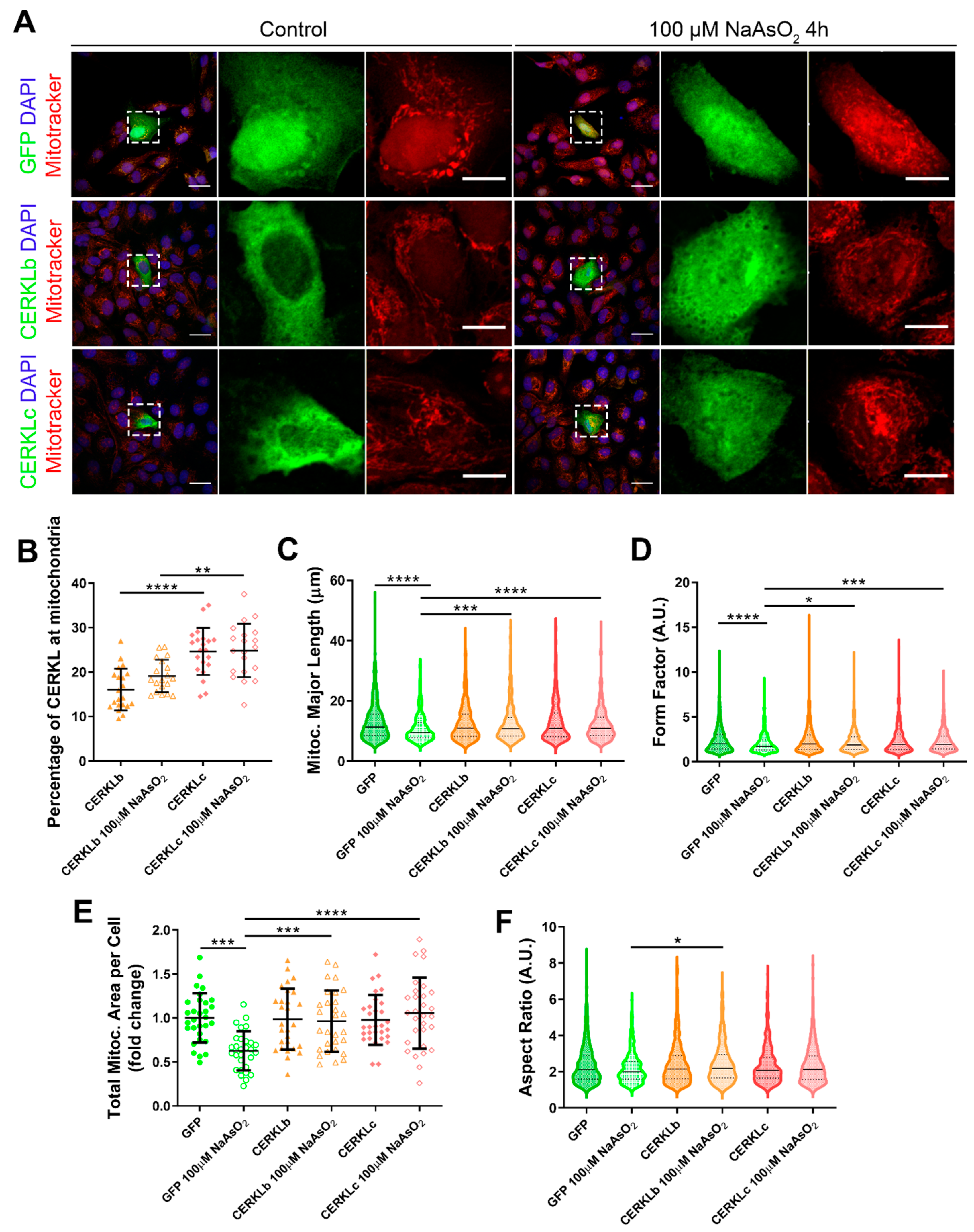 Antioxidants 10 02018 g003