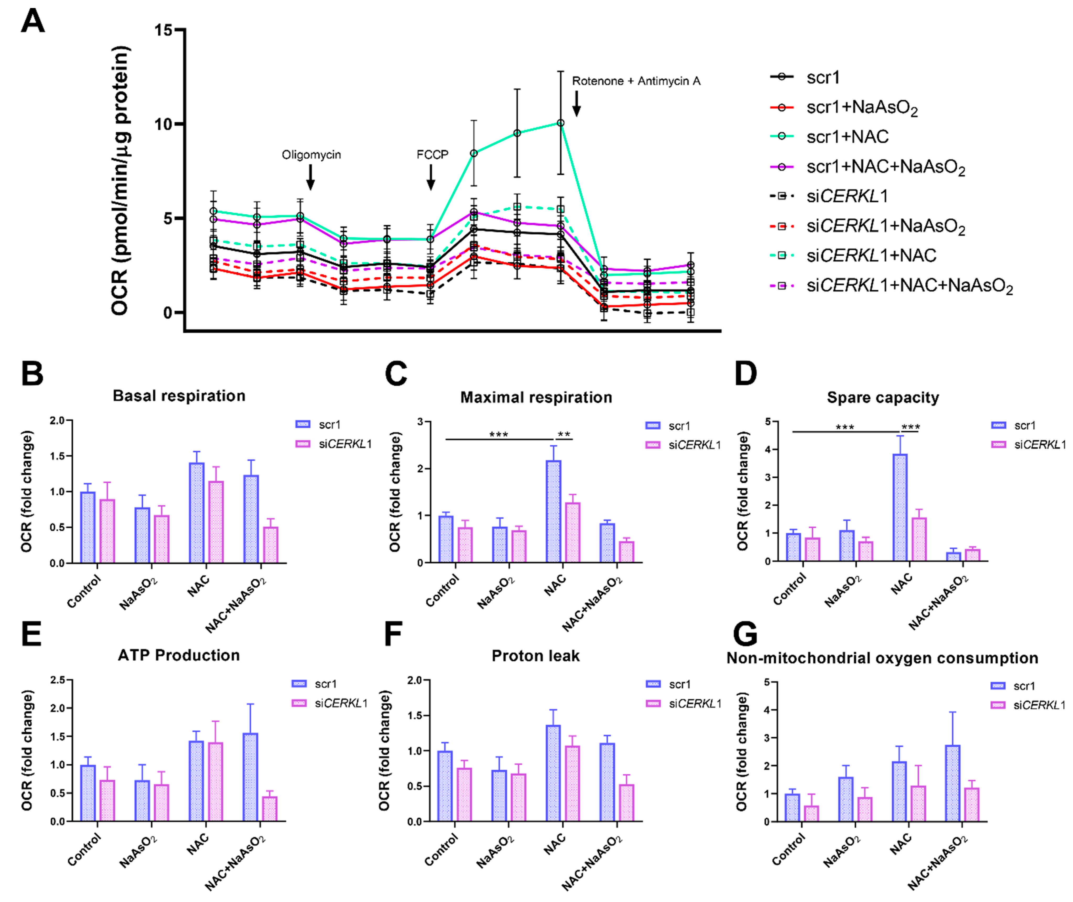 Antioxidants 10 02018 g005