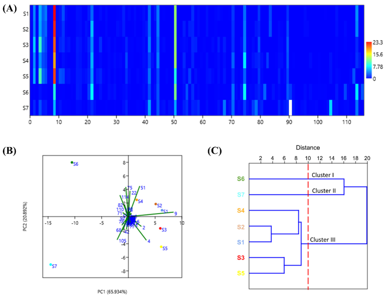 Antioxidants 10 02019 g001
