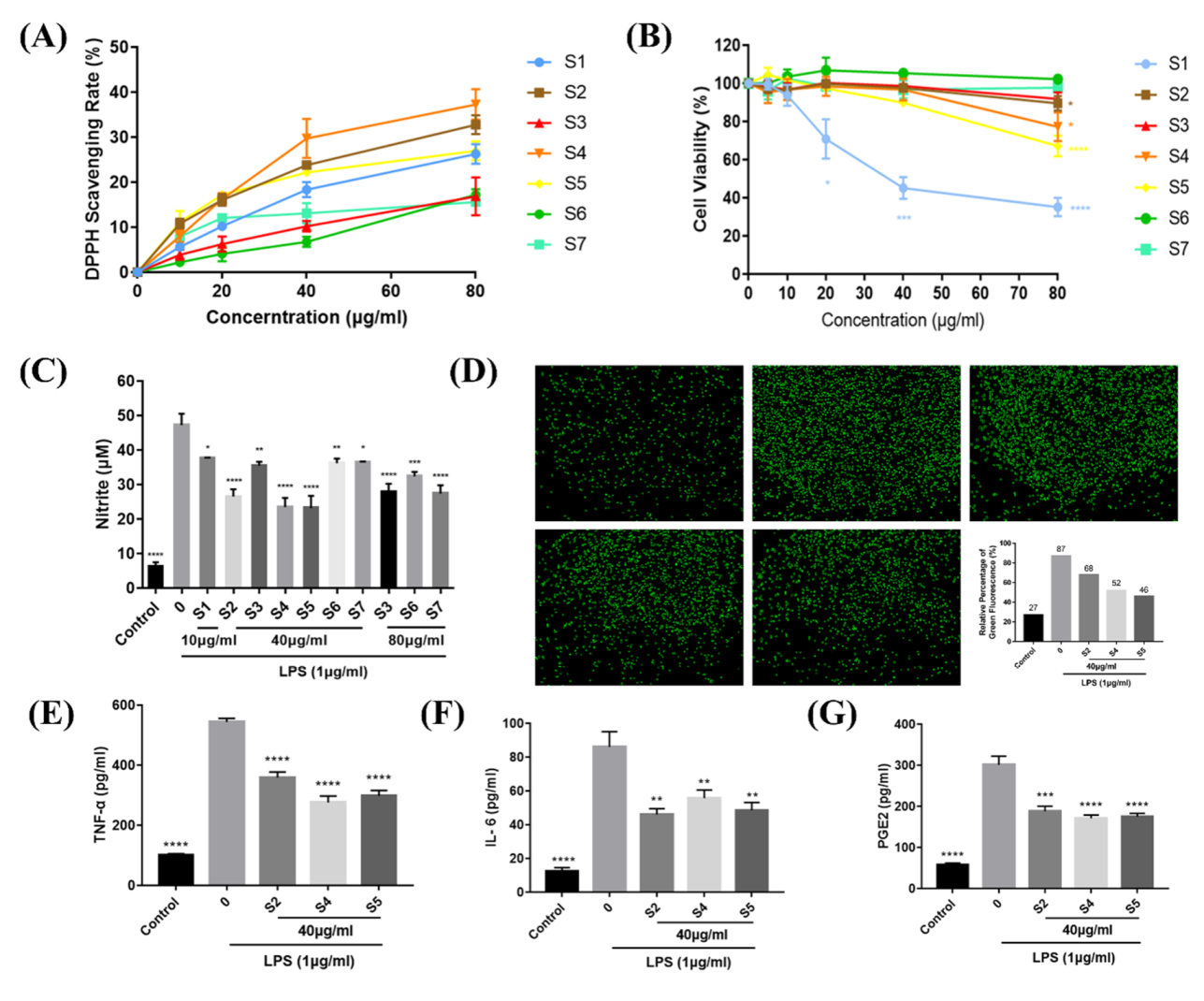 Antioxidants 10 02019 g002