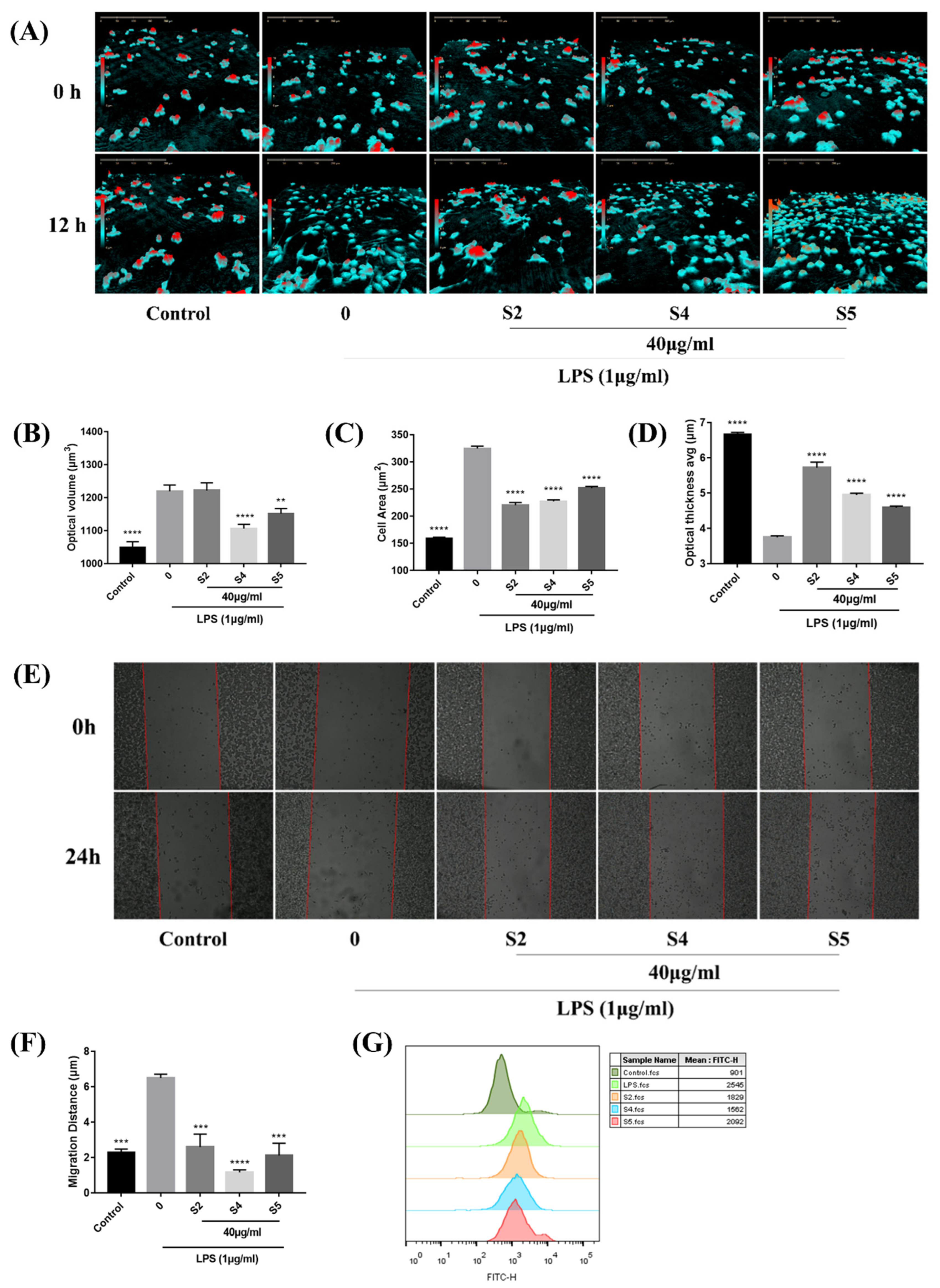 Antioxidants 10 02019 g003