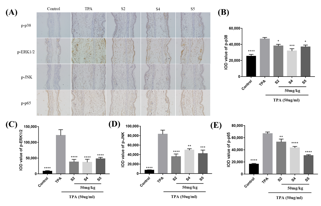 Antioxidants 10 02019 g007