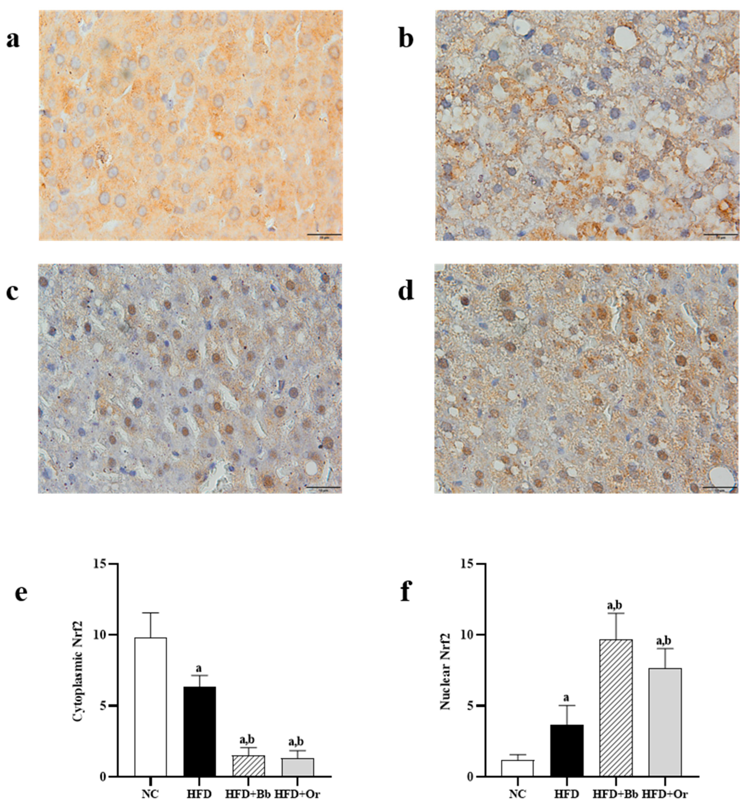 Antioxidants 10 02031 g001