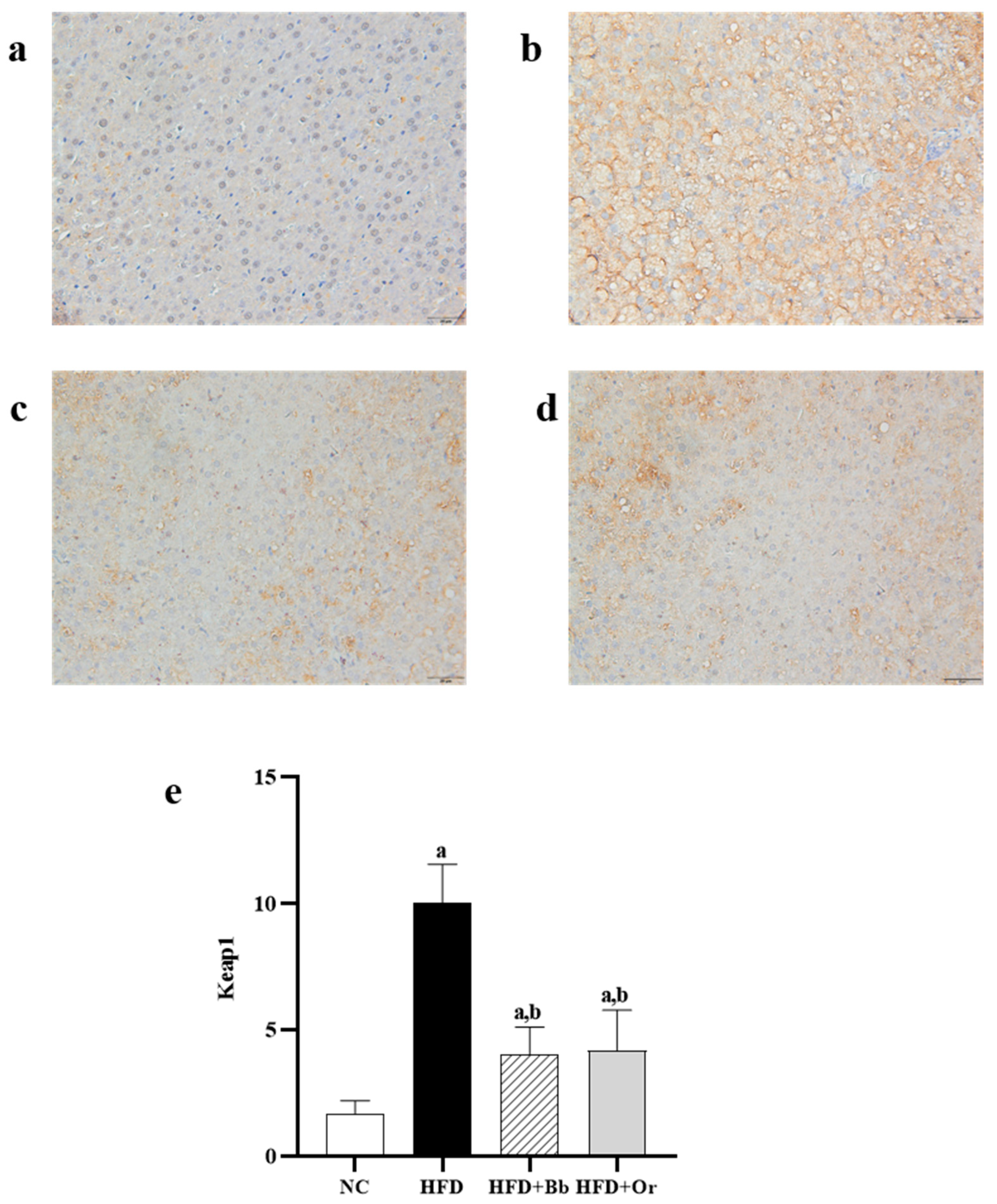Antioxidants 10 02031 g002
