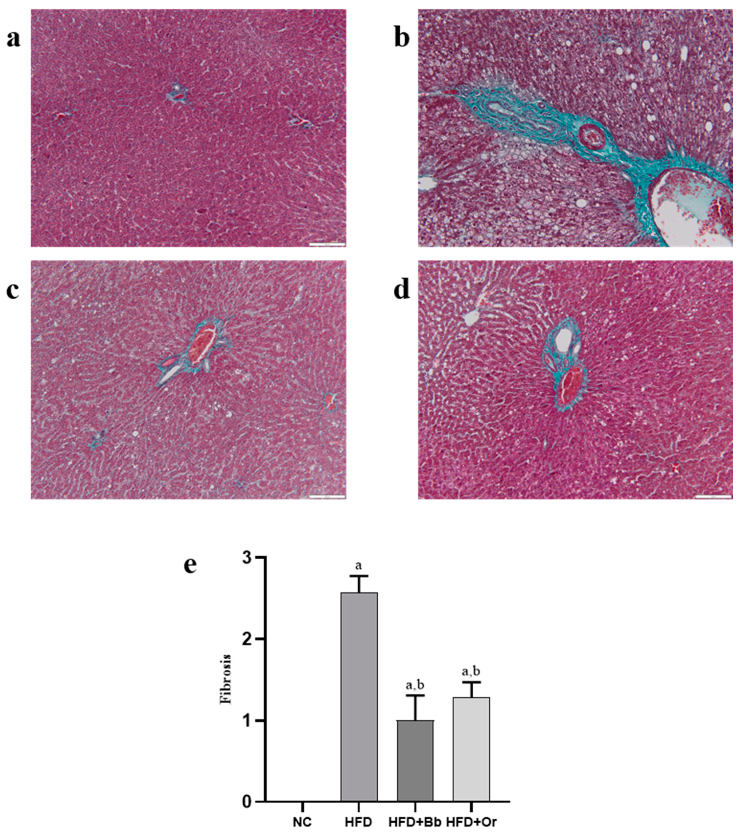 Antioxidants 10 02031 g005
