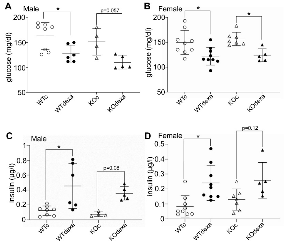 Antioxidants 11 00004 g003