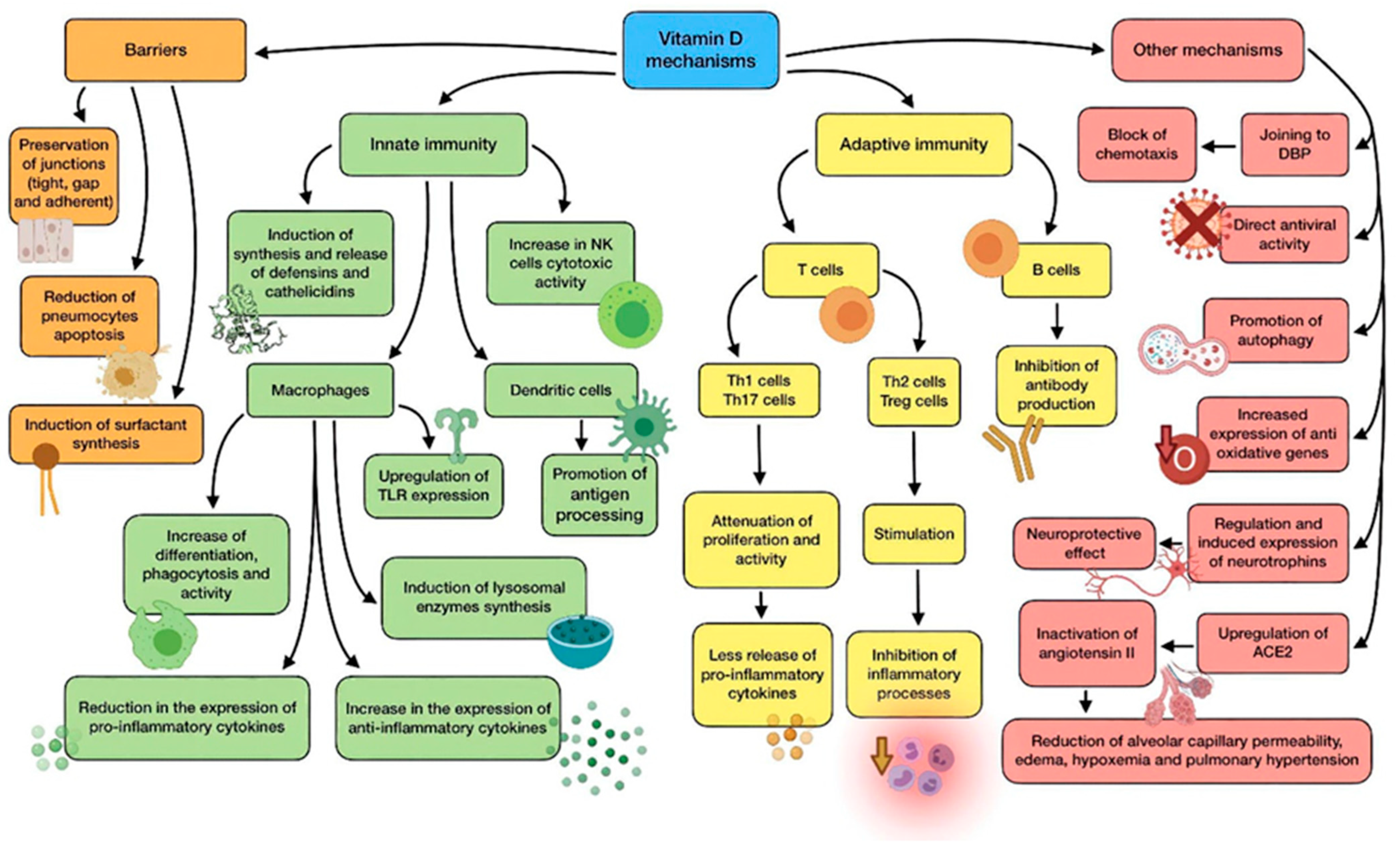 Antioxidants 11 00005 g002