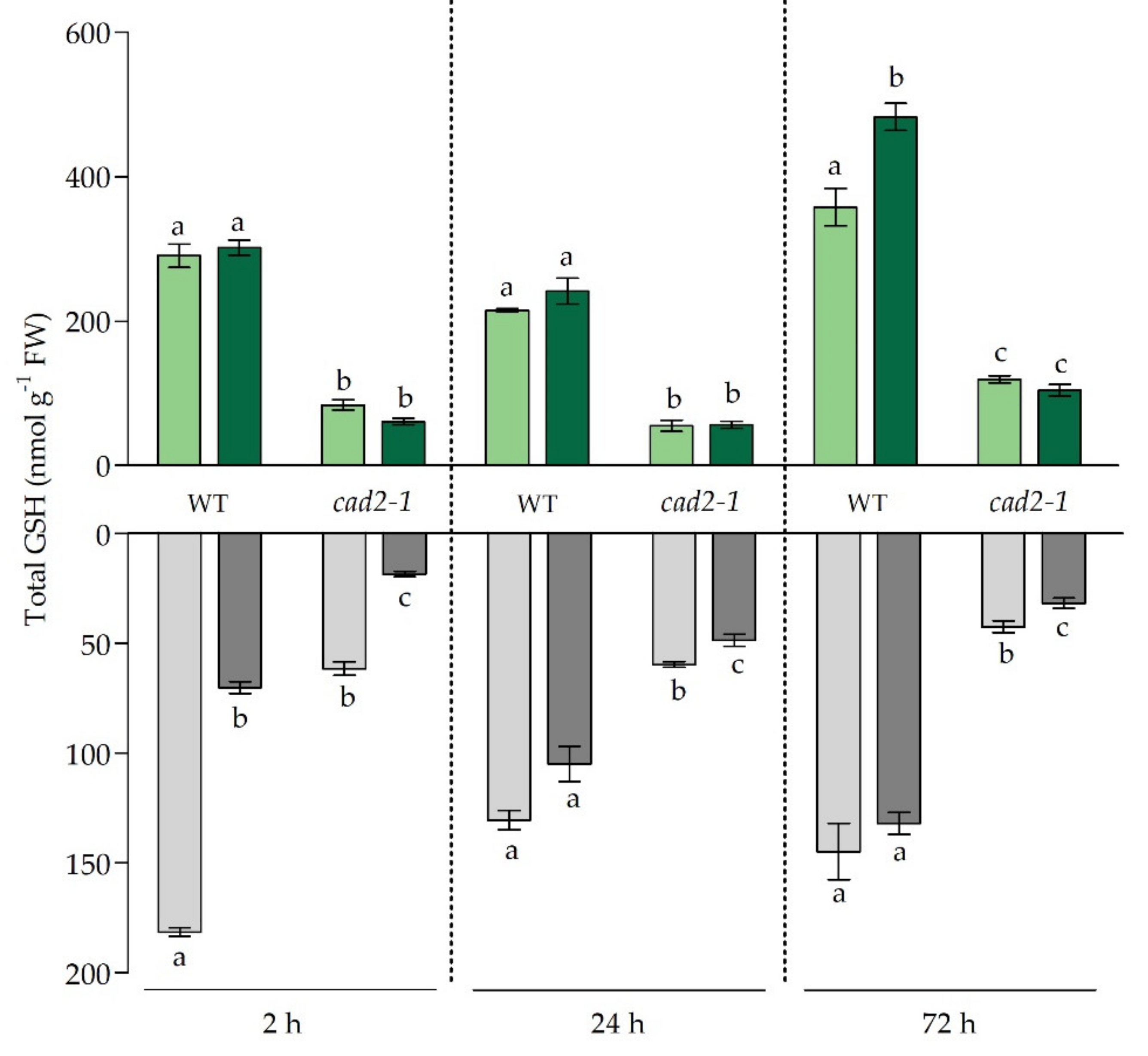 Antioxidants 11 00006 g002