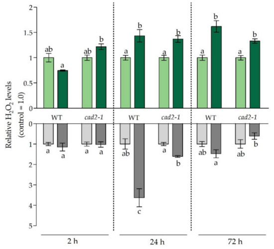 Antioxidants 11 00006 g003 550