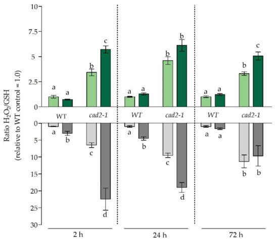 Antioxidants 11 00006 g004 550