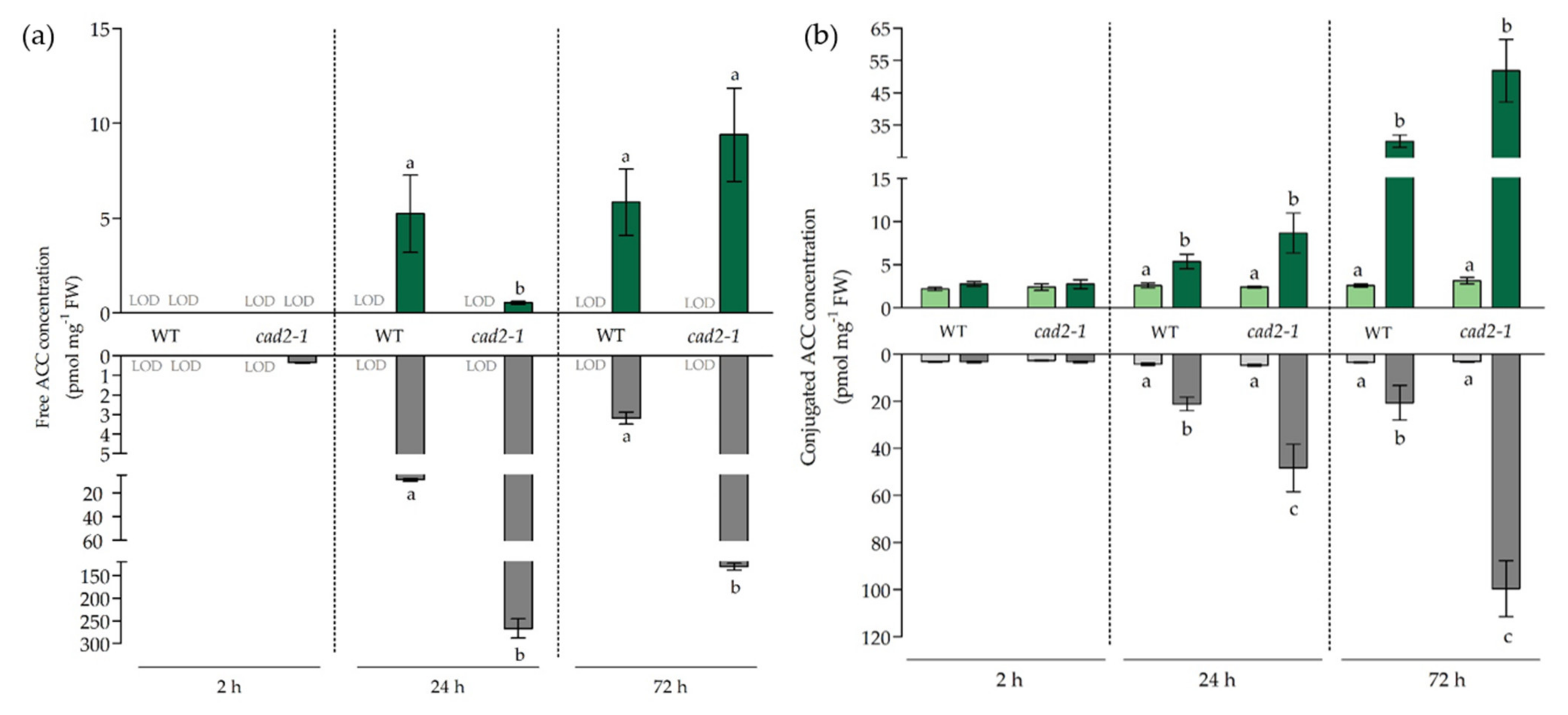 Antioxidants 11 00006 g005