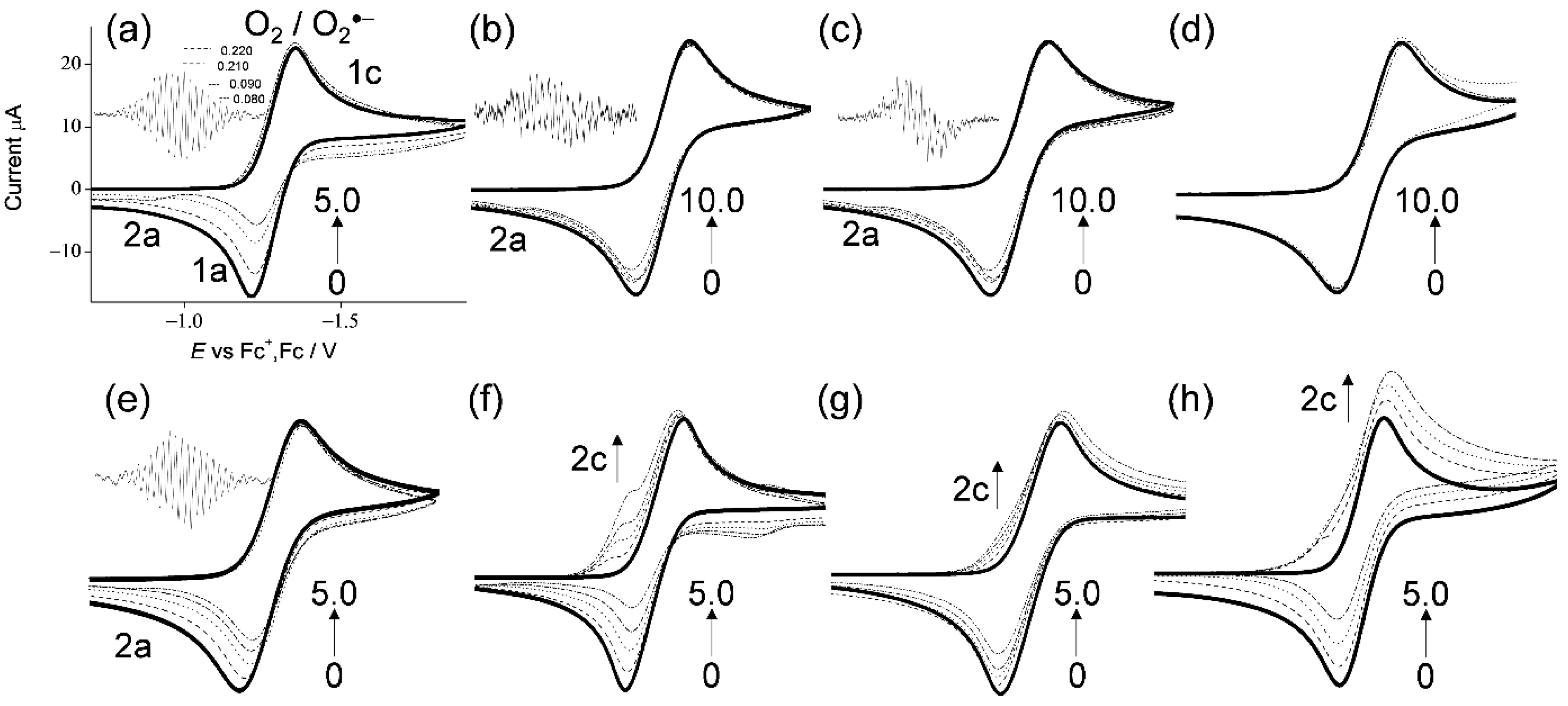 Antioxidants 11 00009 g002