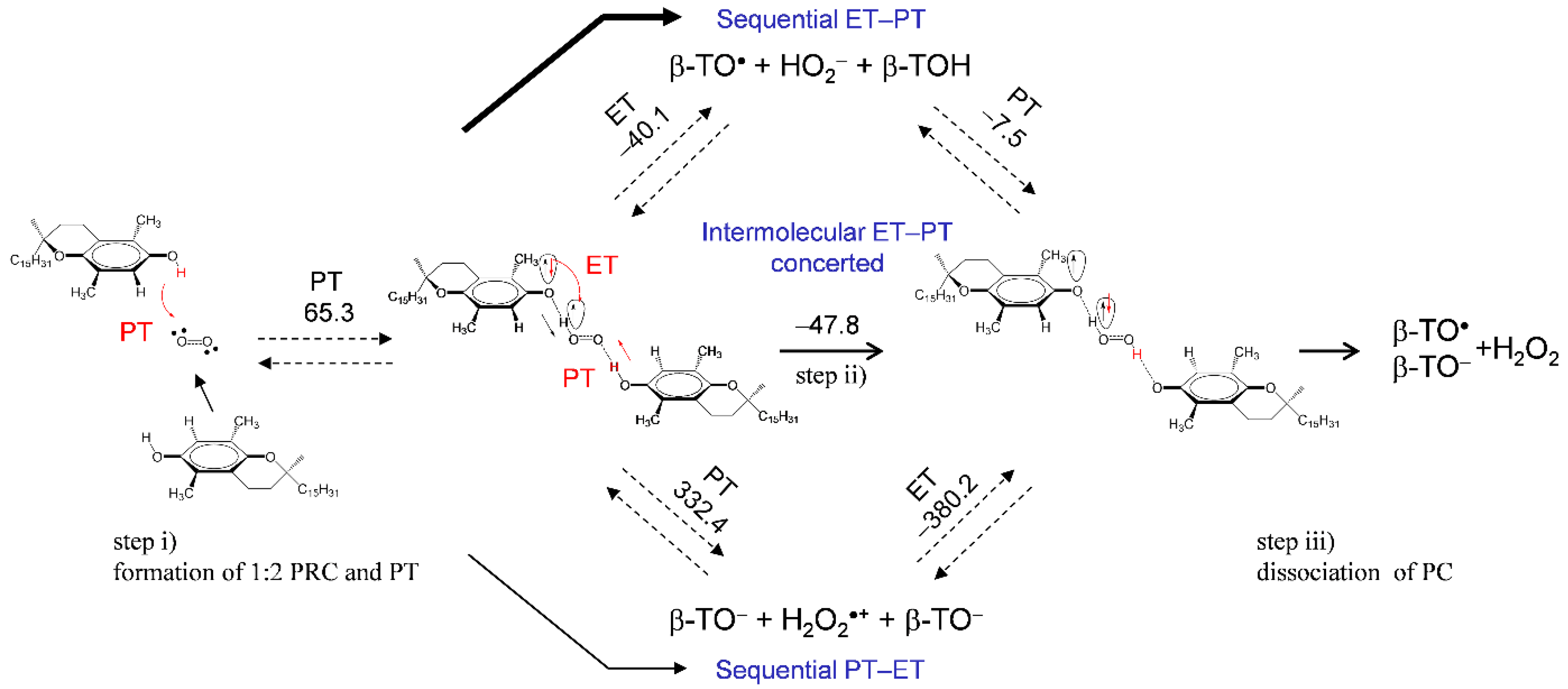 Antioxidants 11 00009 g007