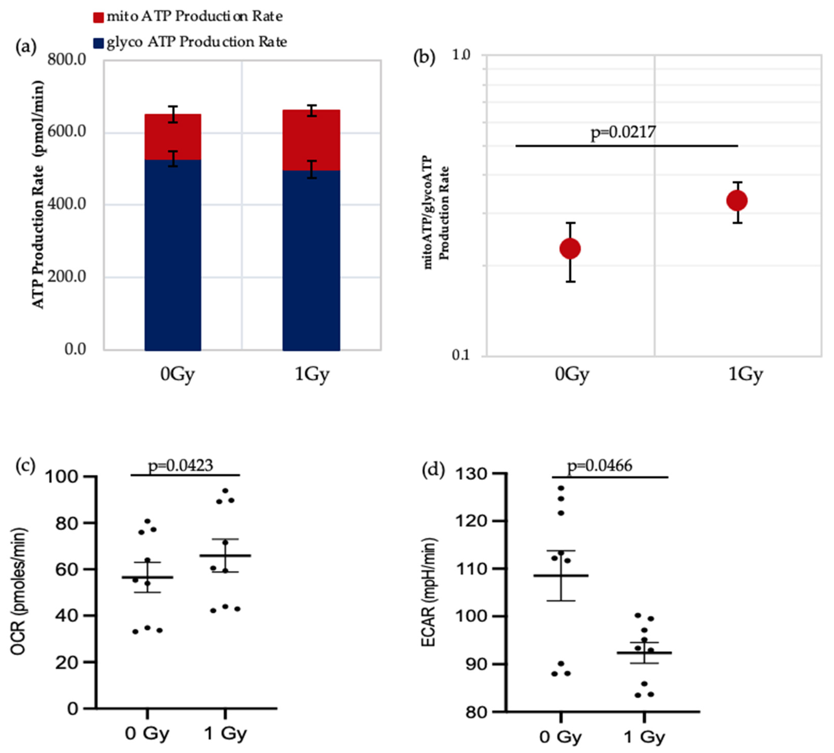 Antioxidants 11 00011 g003