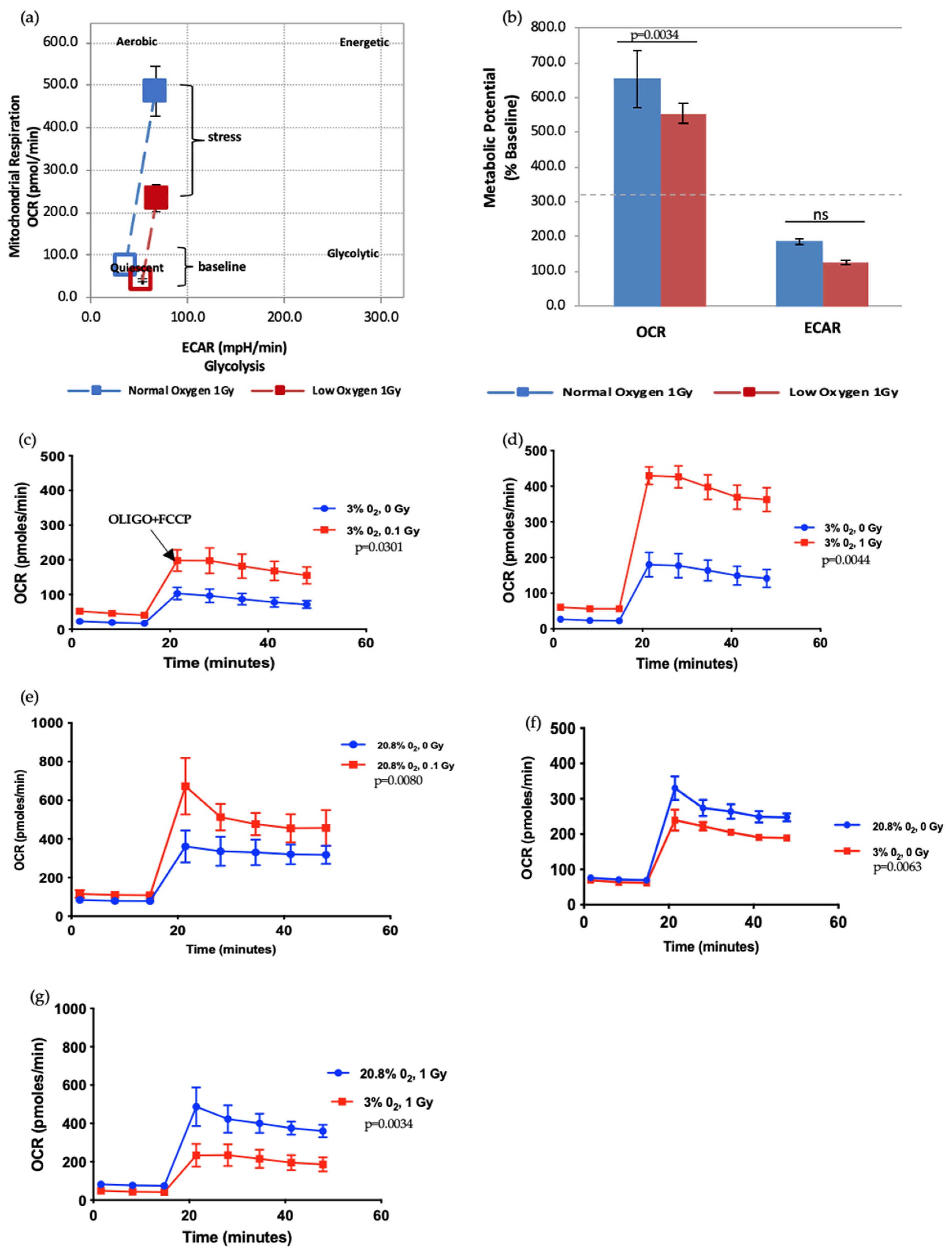Antioxidants 11 00011 g005