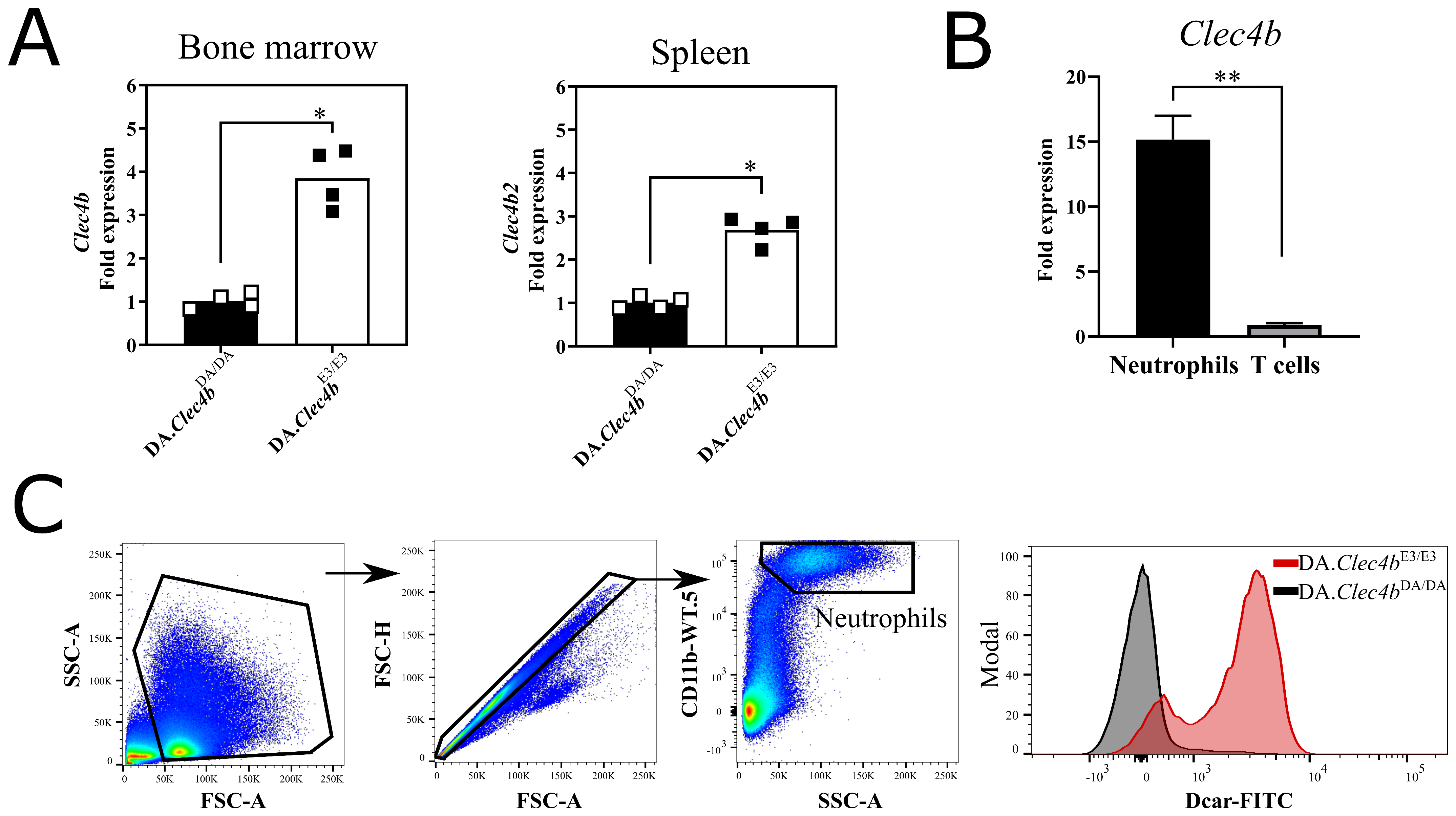 Antioxidants 11 00012 g002