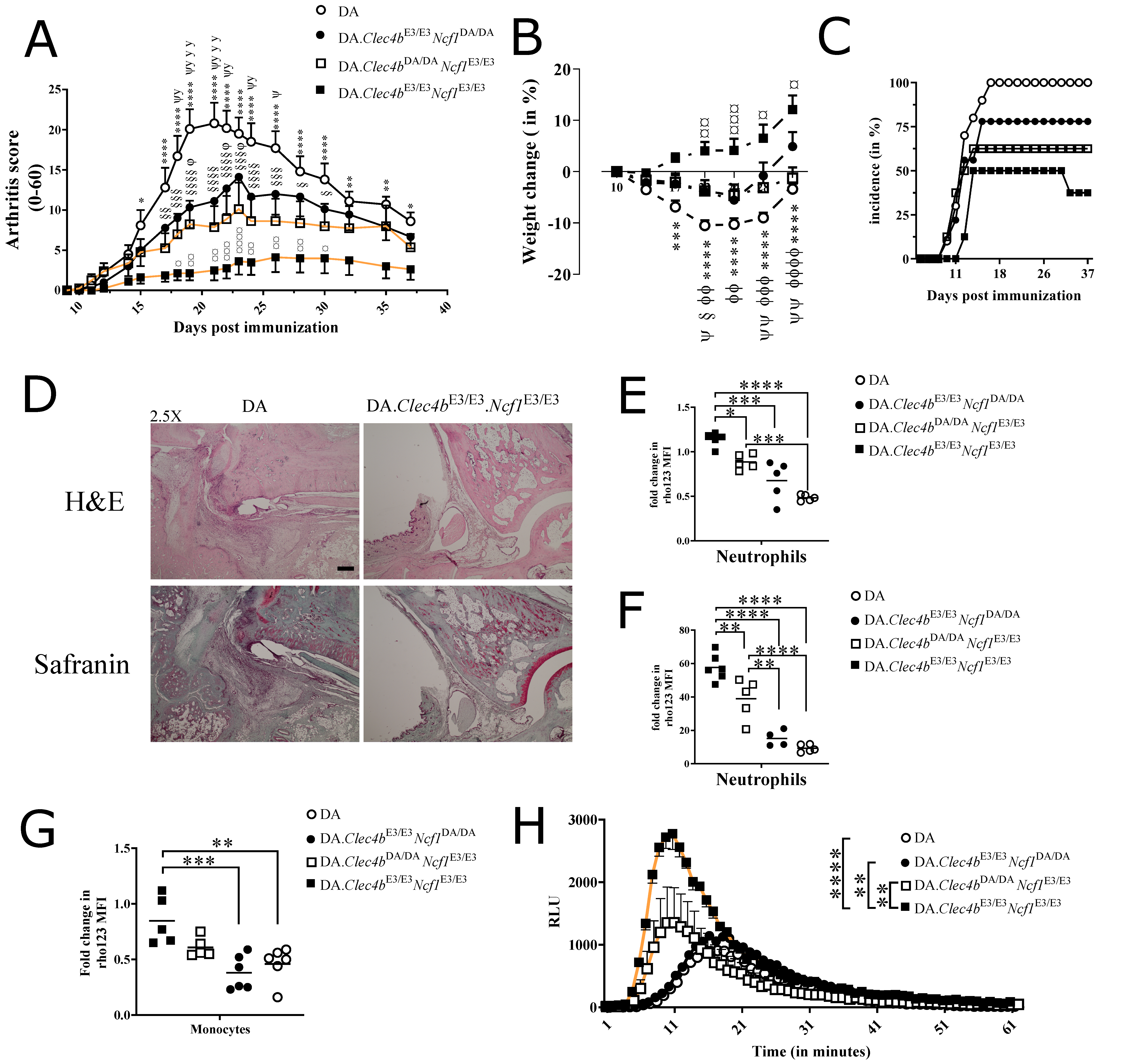 Antioxidants 11 00012 g004