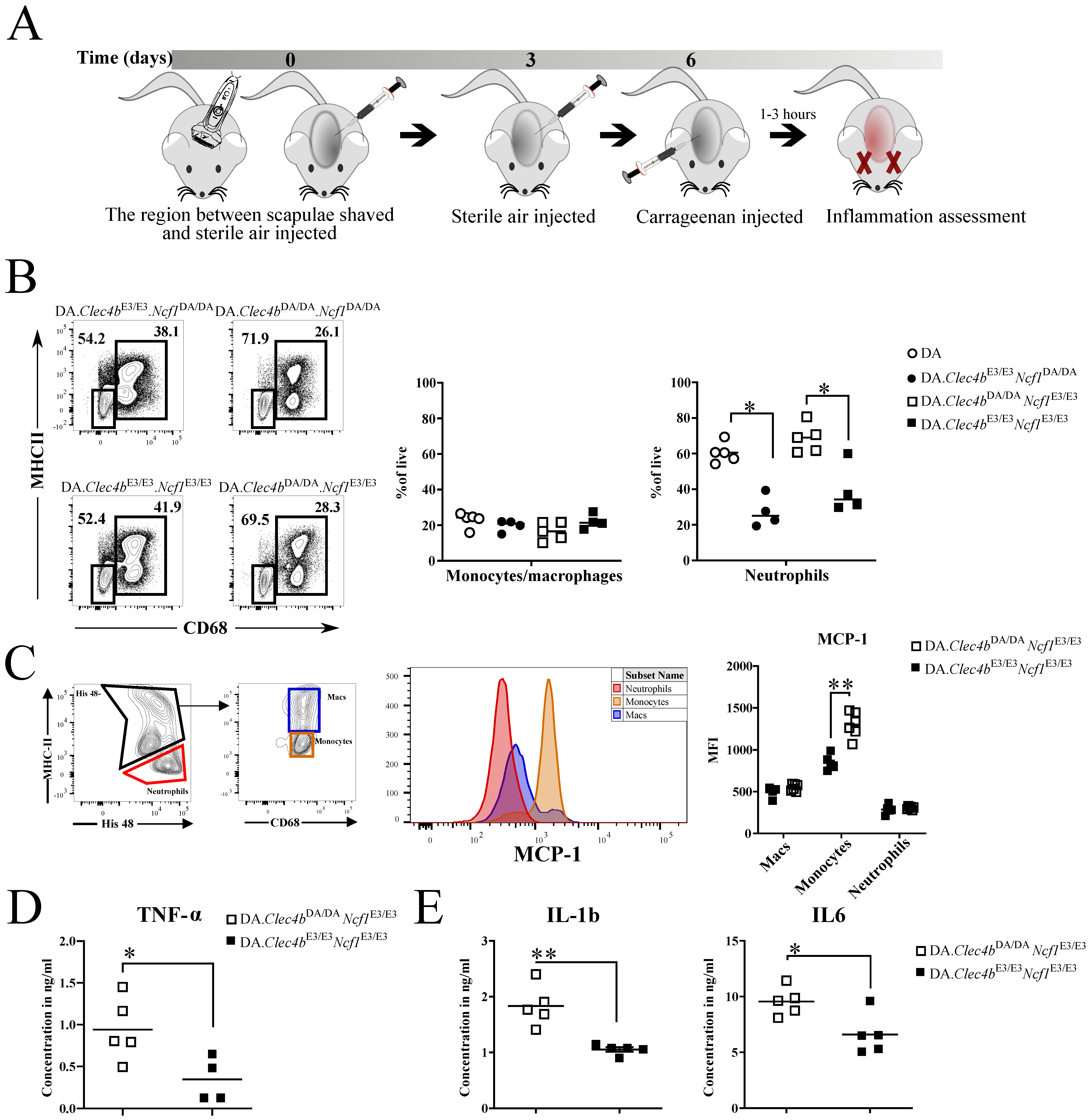 Antioxidants 11 00012 g005