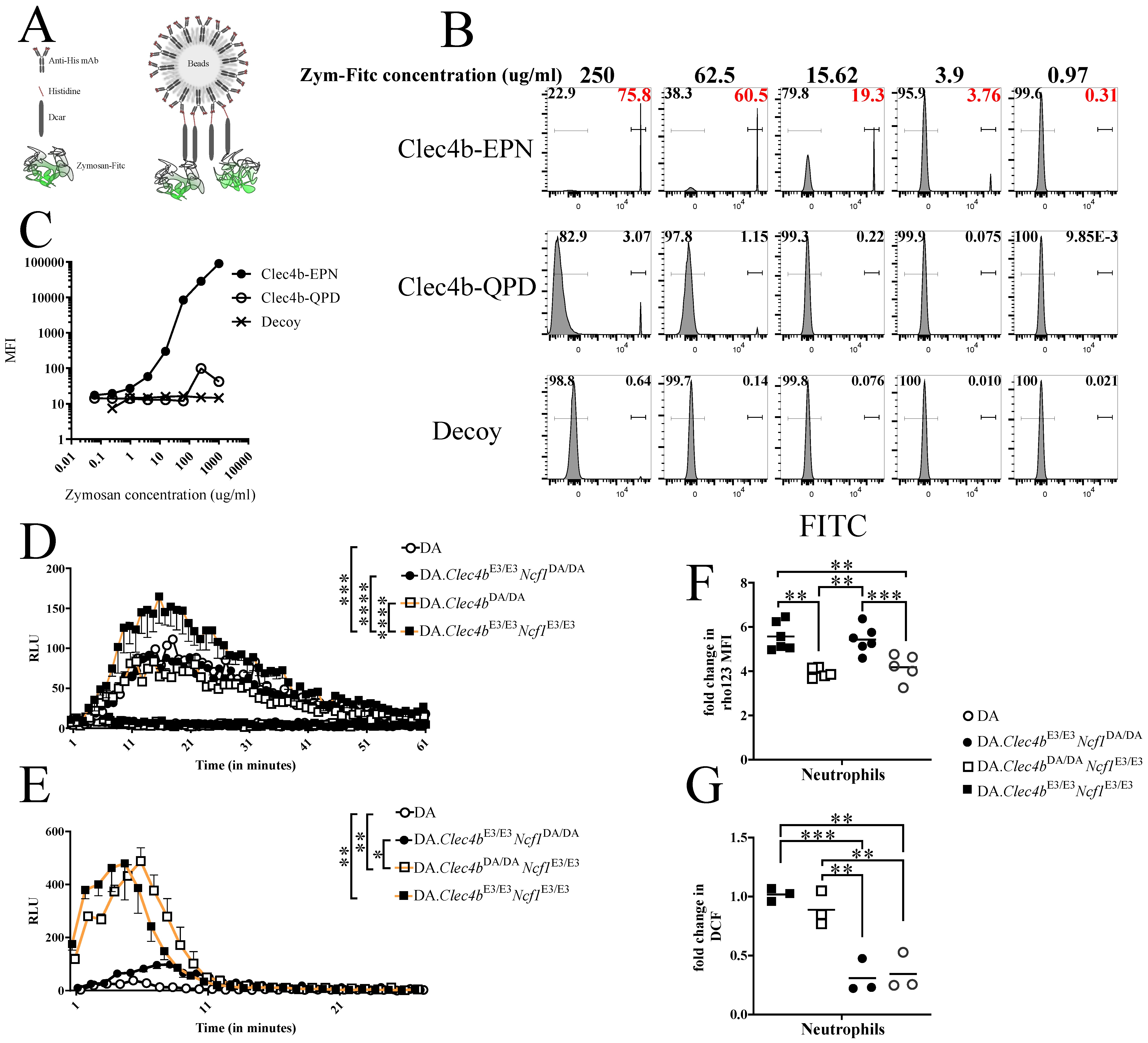 Antioxidants 11 00012 g006