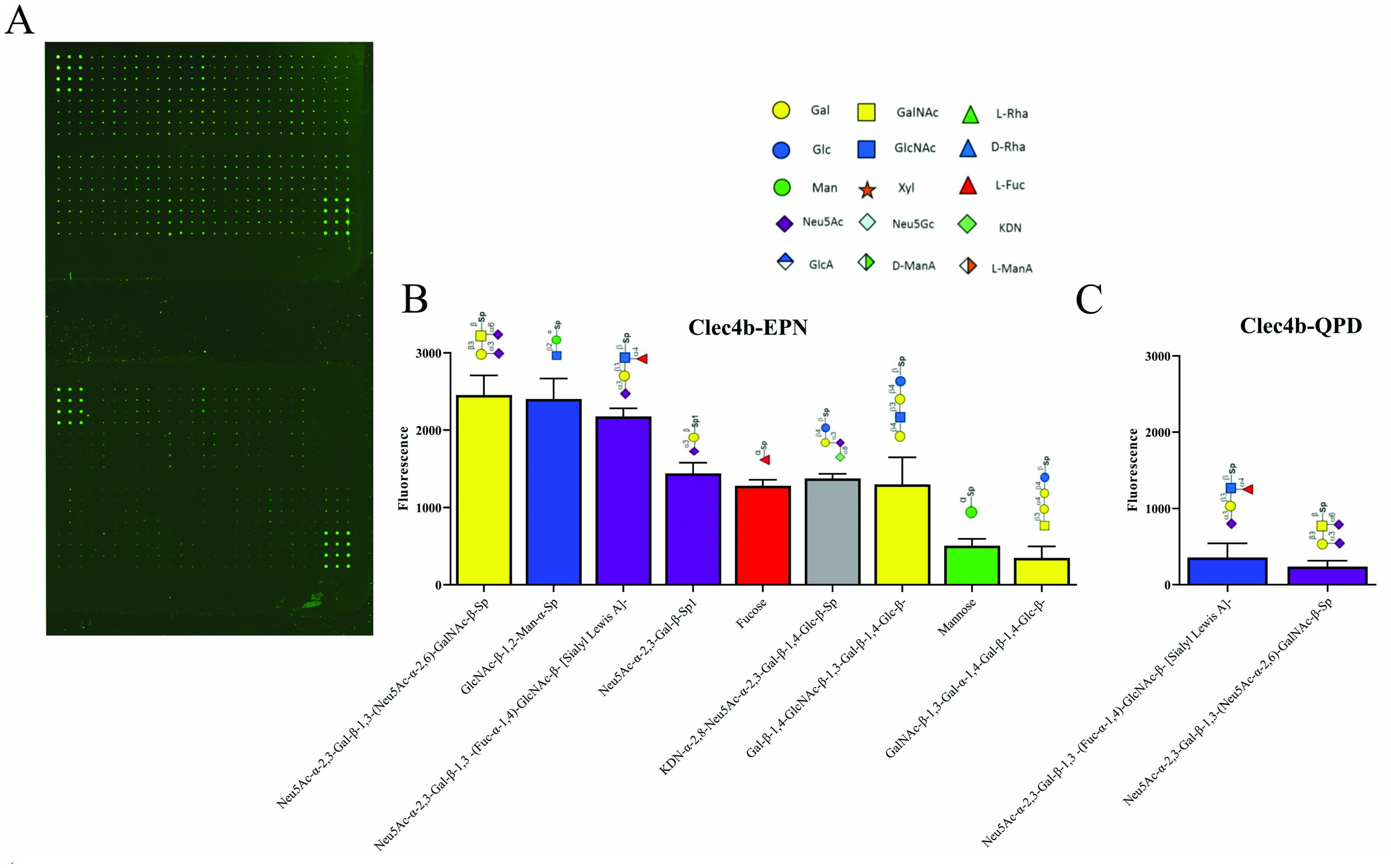 Antioxidants 11 00012 g007