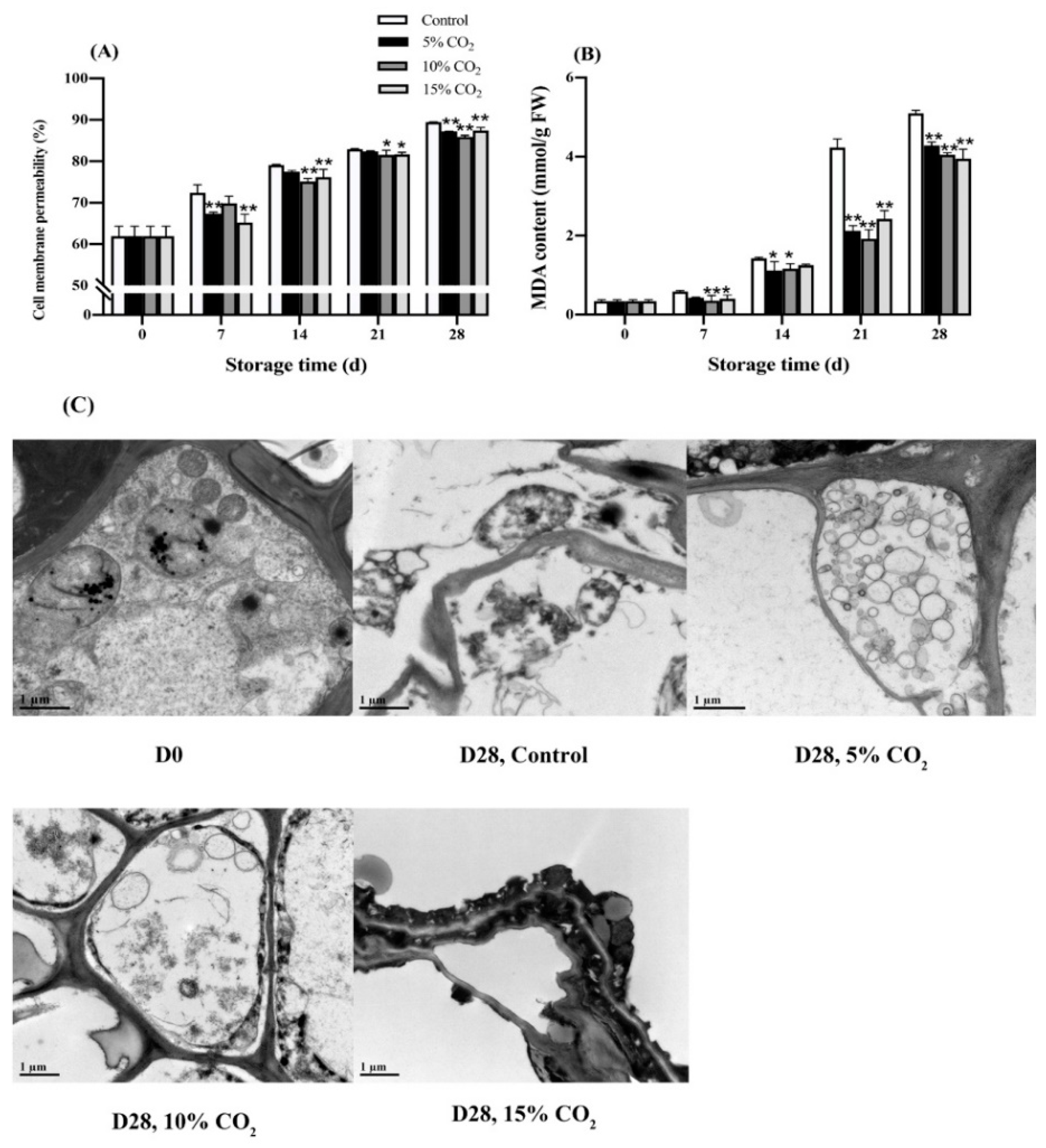 Antioxidants 11 00016 g003