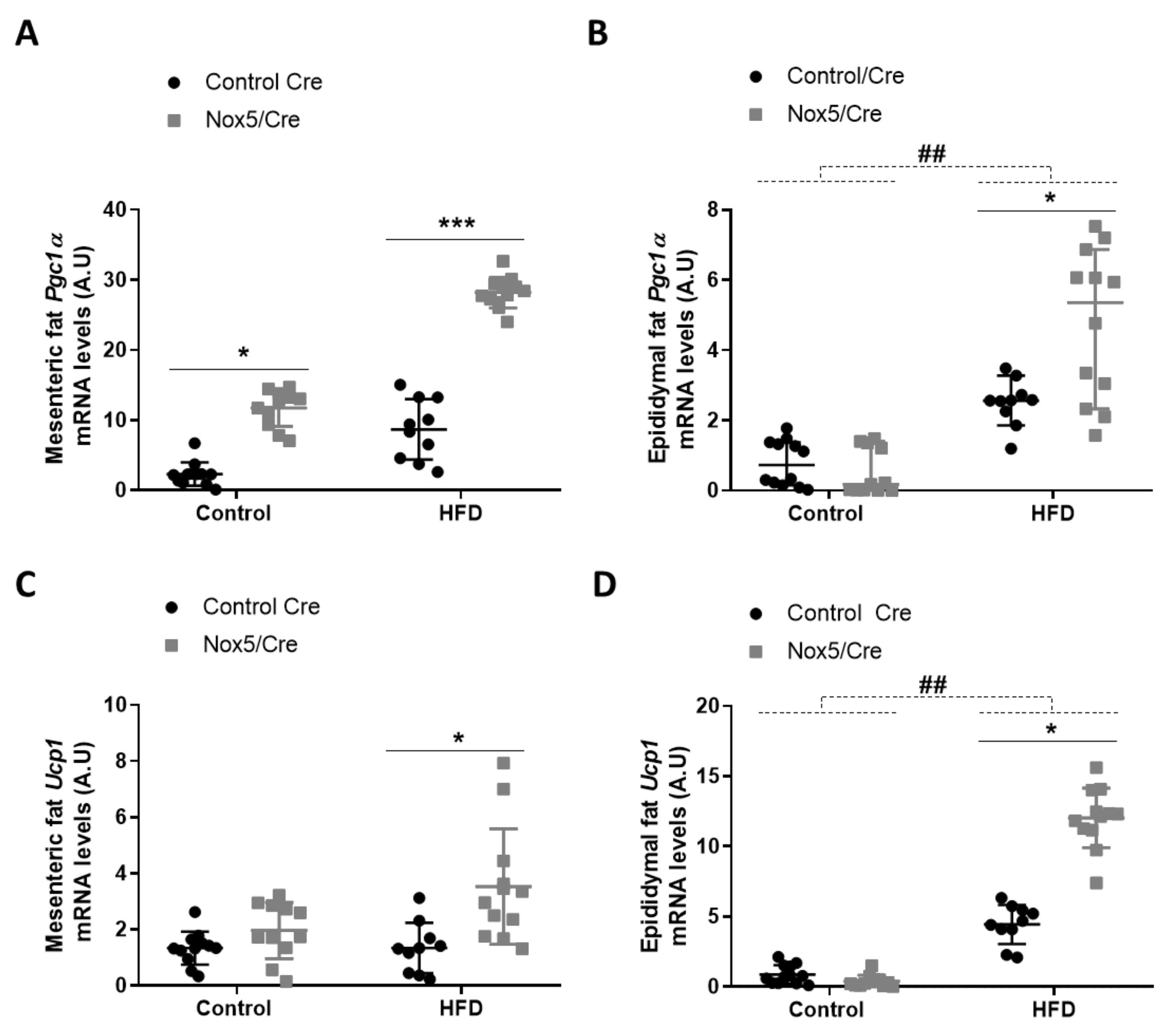 Antioxidants 11 00030 g001