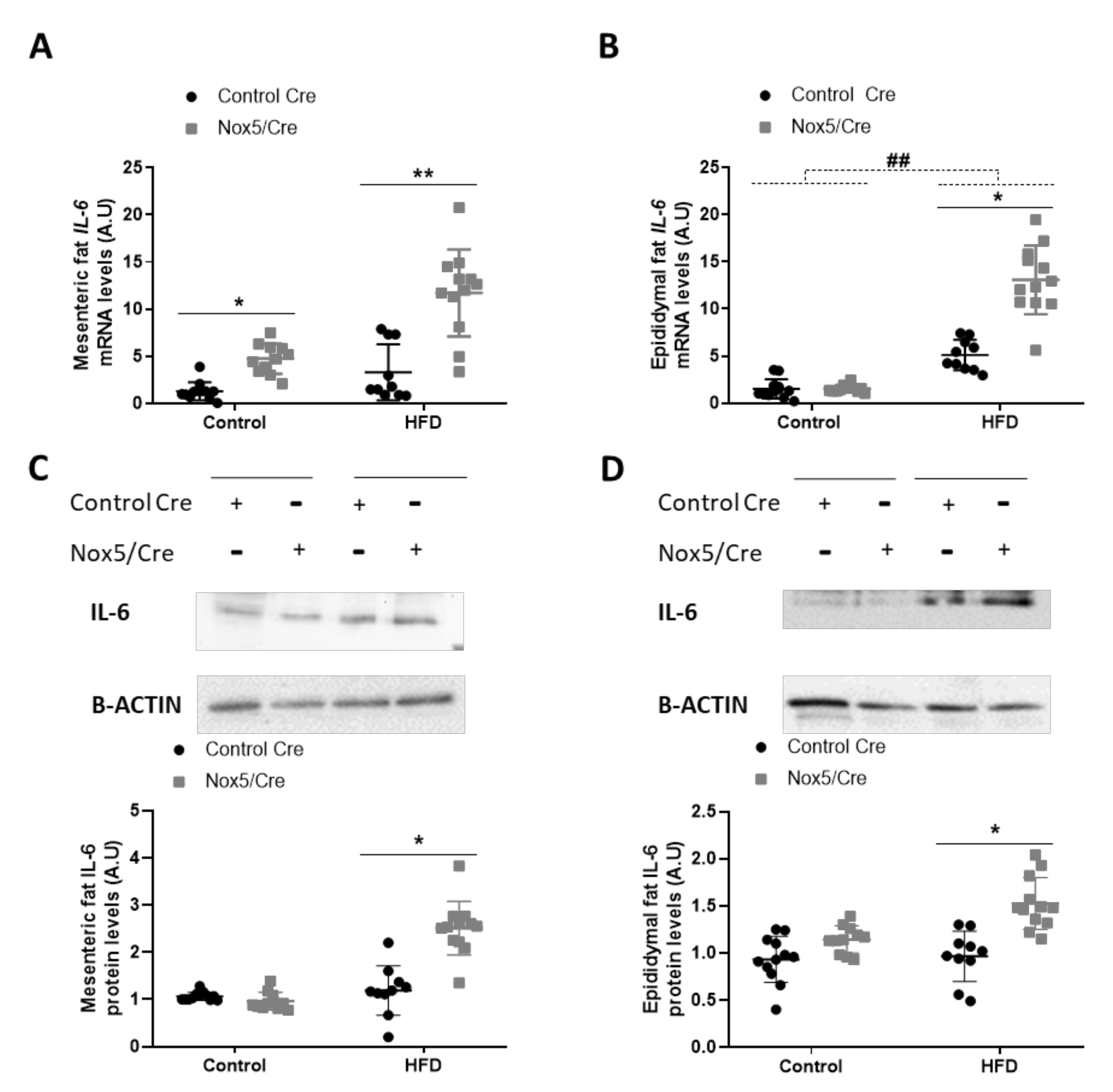 Antioxidants 11 00030 g004